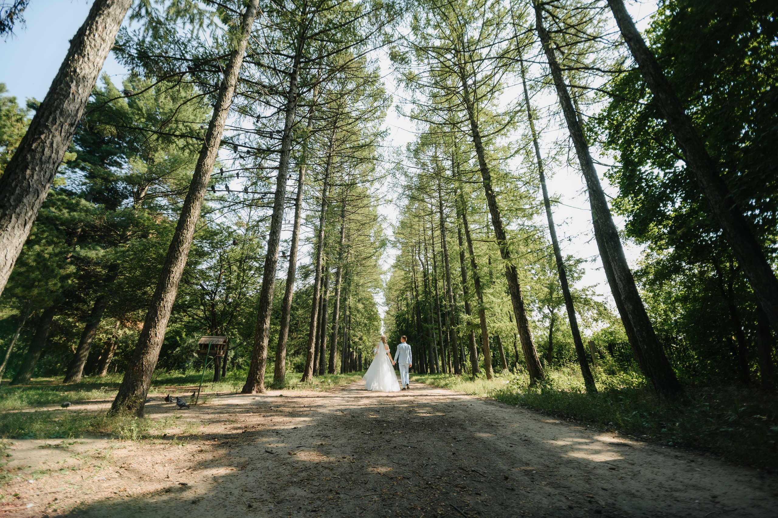 Анастасия и Алексей. Фото-видеосъемка свадеб Venson Films