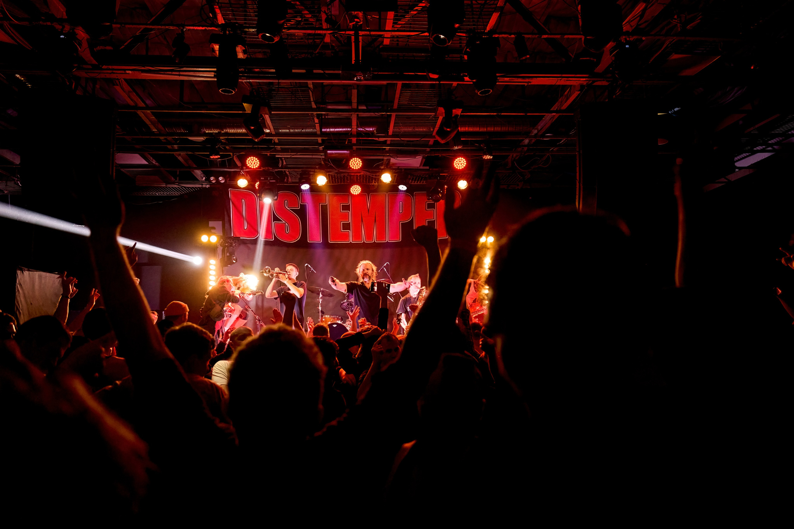 DISTEMPER / AGLOMERAT / 24.11.2023. Ekhovanov | фото- видеосъемка