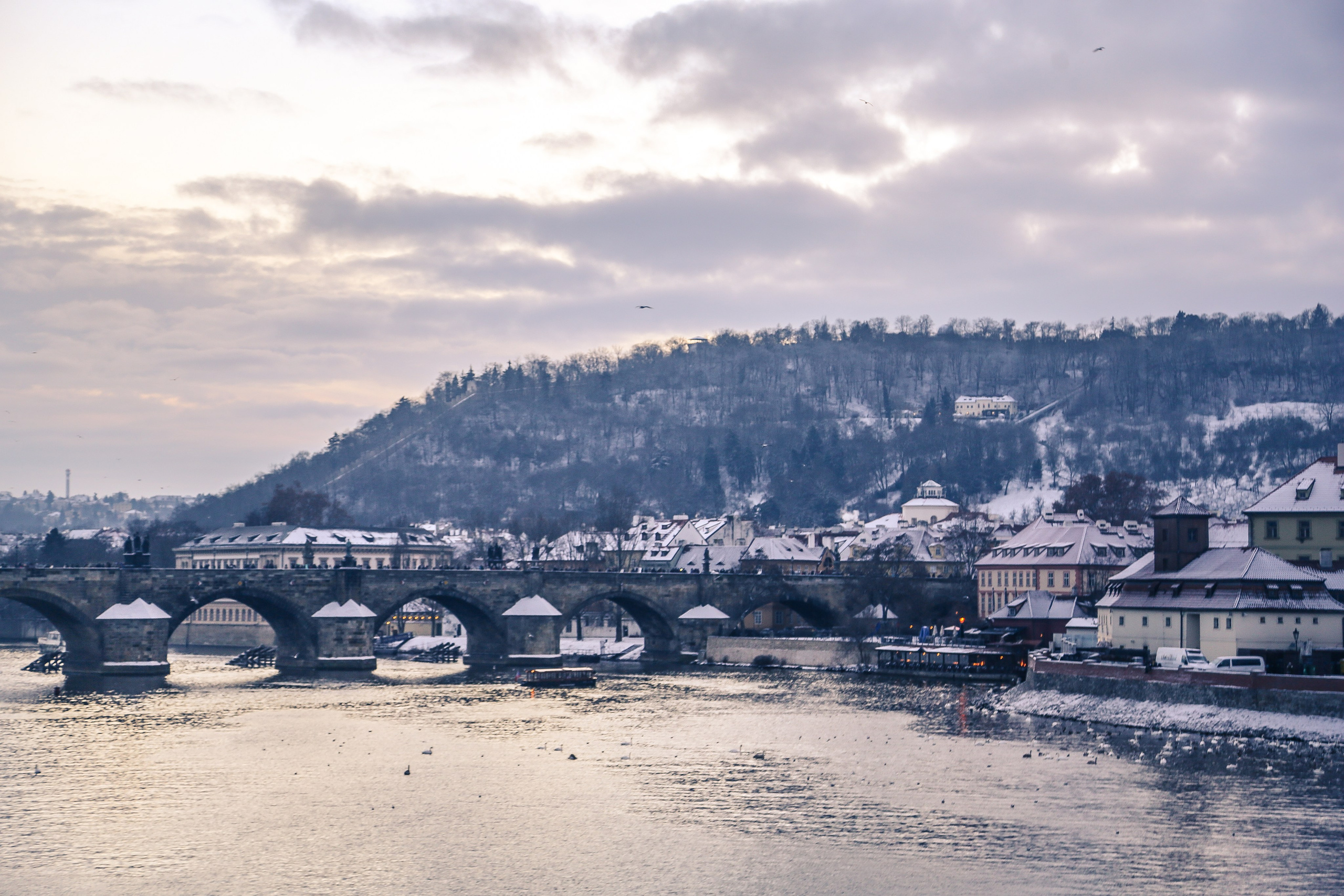 Чехия: Прага. Дарья Письменюк / Darya Leitstern — фотограф, музыкант, журналист, путешественник