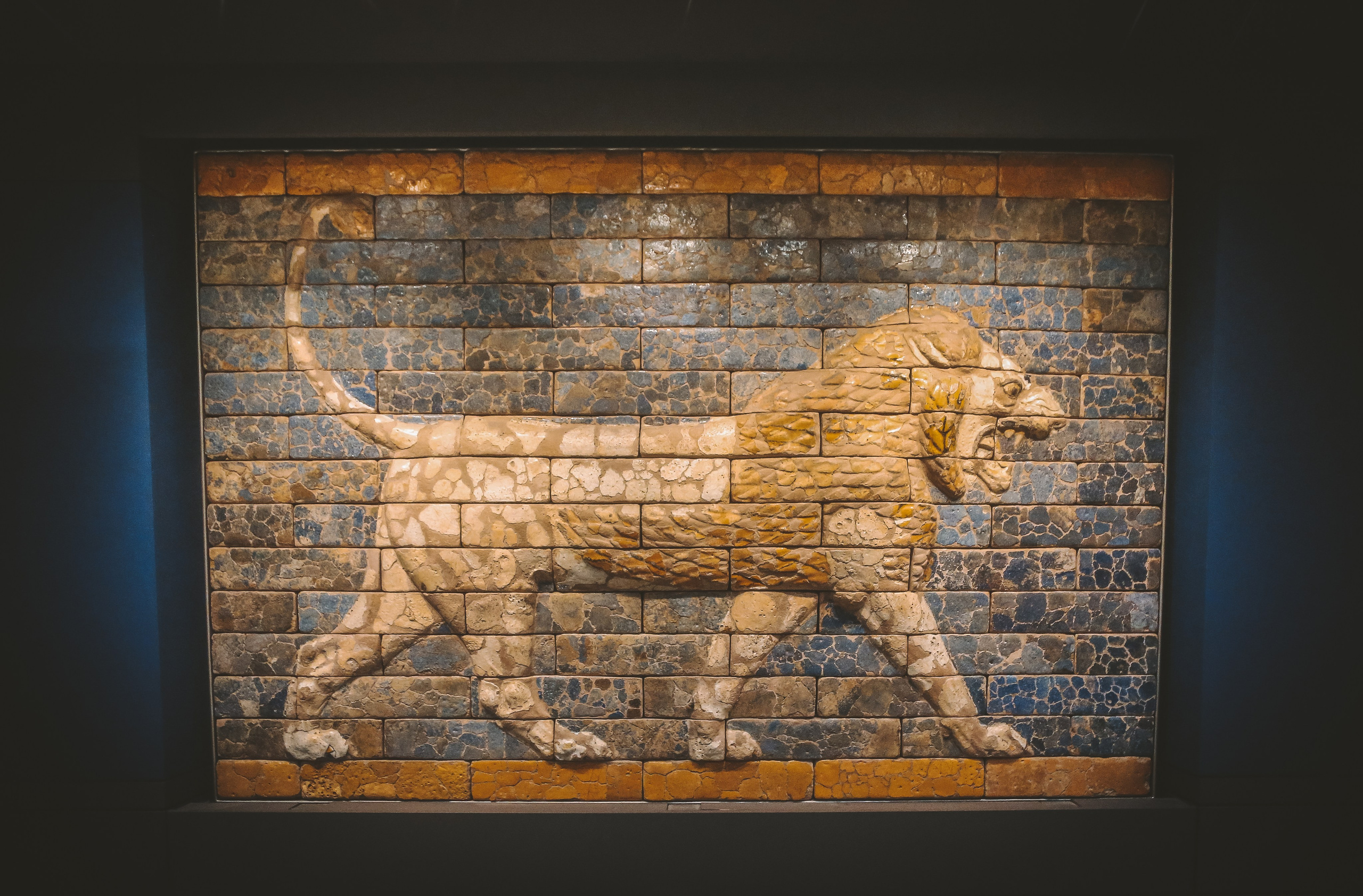 Англия: Лондон музейный. Дарья Письменюк / Darya Leitstern — фотограф, музыкант, журналист, путешественник