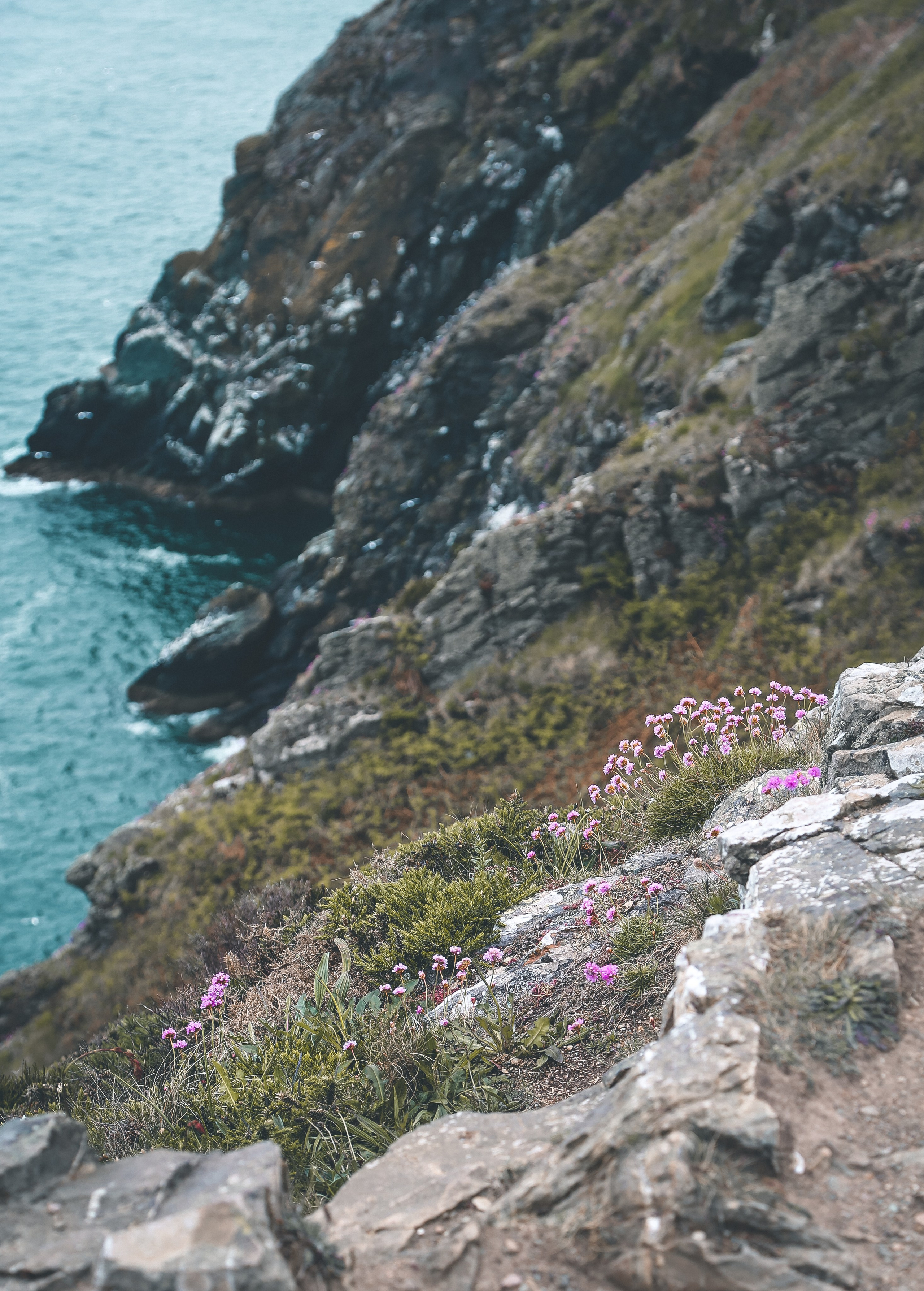 Ирландия: Хоут — тропинка на одного. Дарья Письменюк / Darya Leitstern — фотограф, музыкант, журналист, путешественник