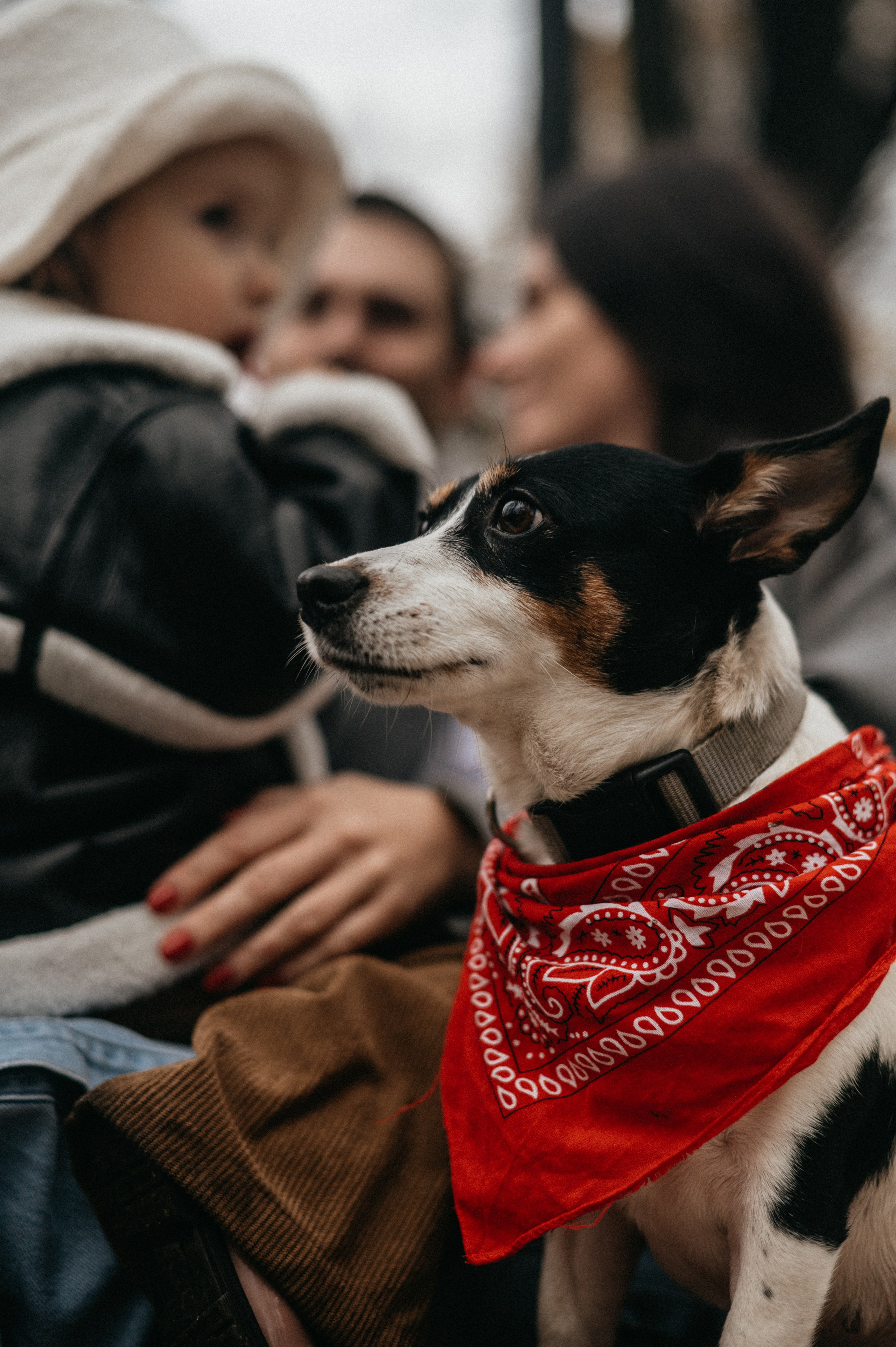 Семейная фотосессия. Семейный фотограф /СПБ/Выборг/ Голубева Ульяна