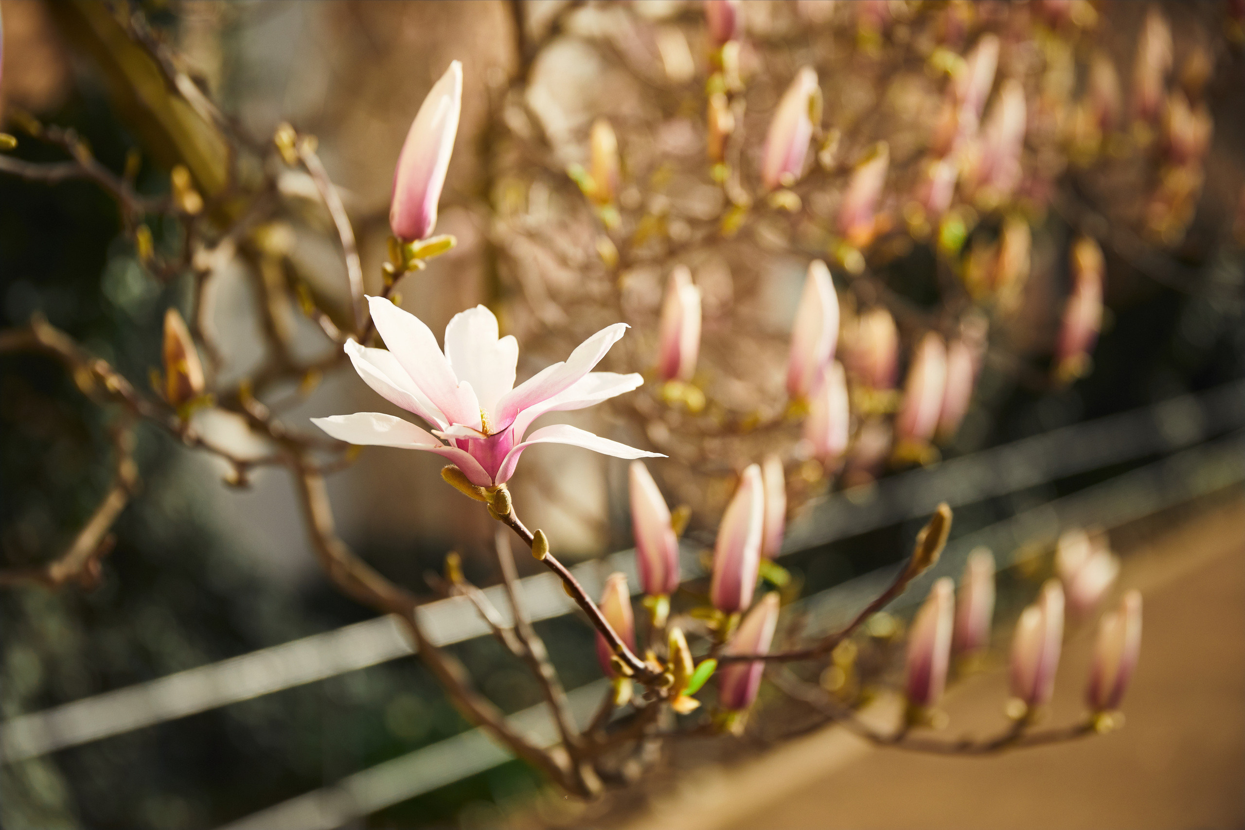 Кирилл & Кристина. Прага. Другой взгляд на фотографию