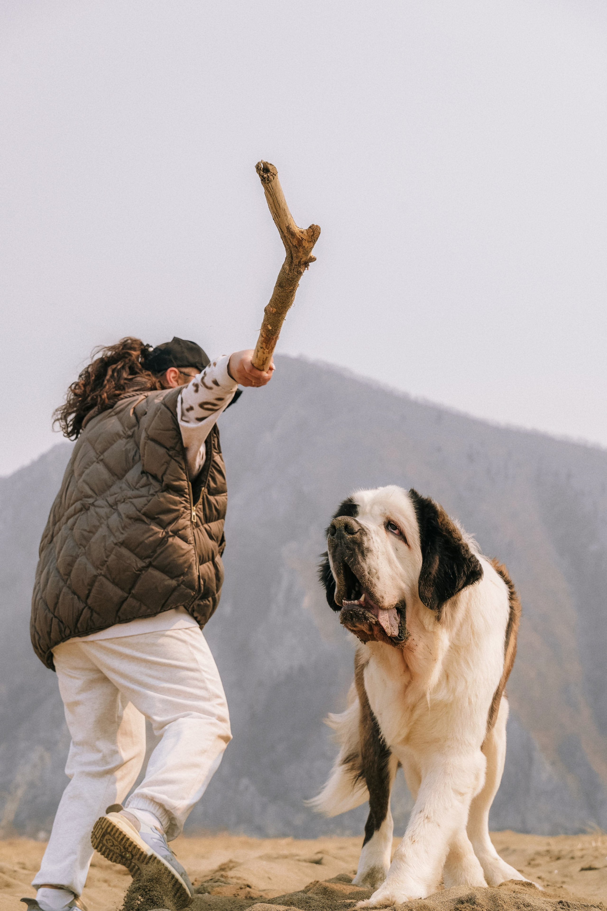 Мария и Чак. Семейный фотограф анималист г. Находка