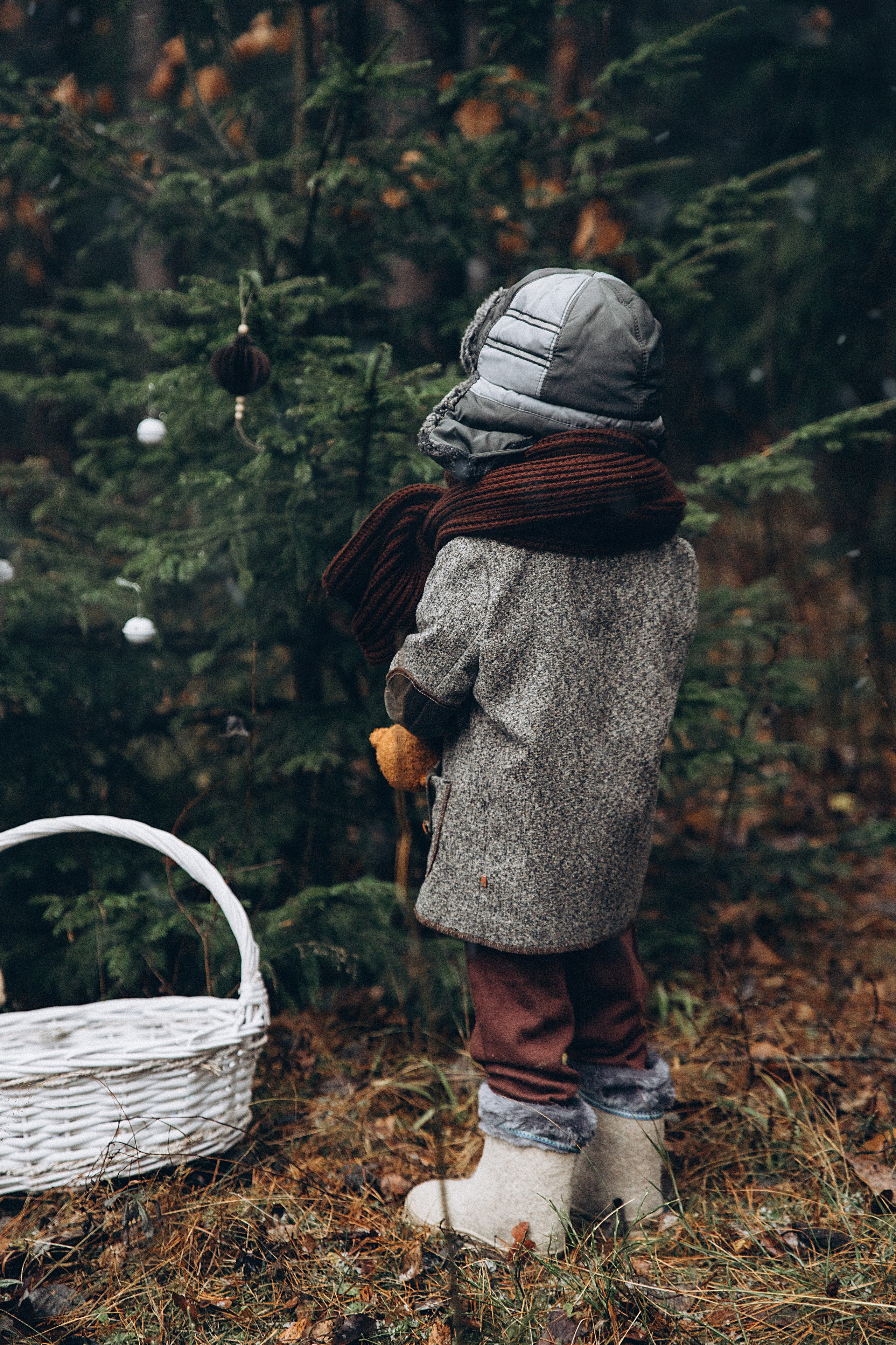 Елка в лесу. Репортажный и детский фотограф в Минске