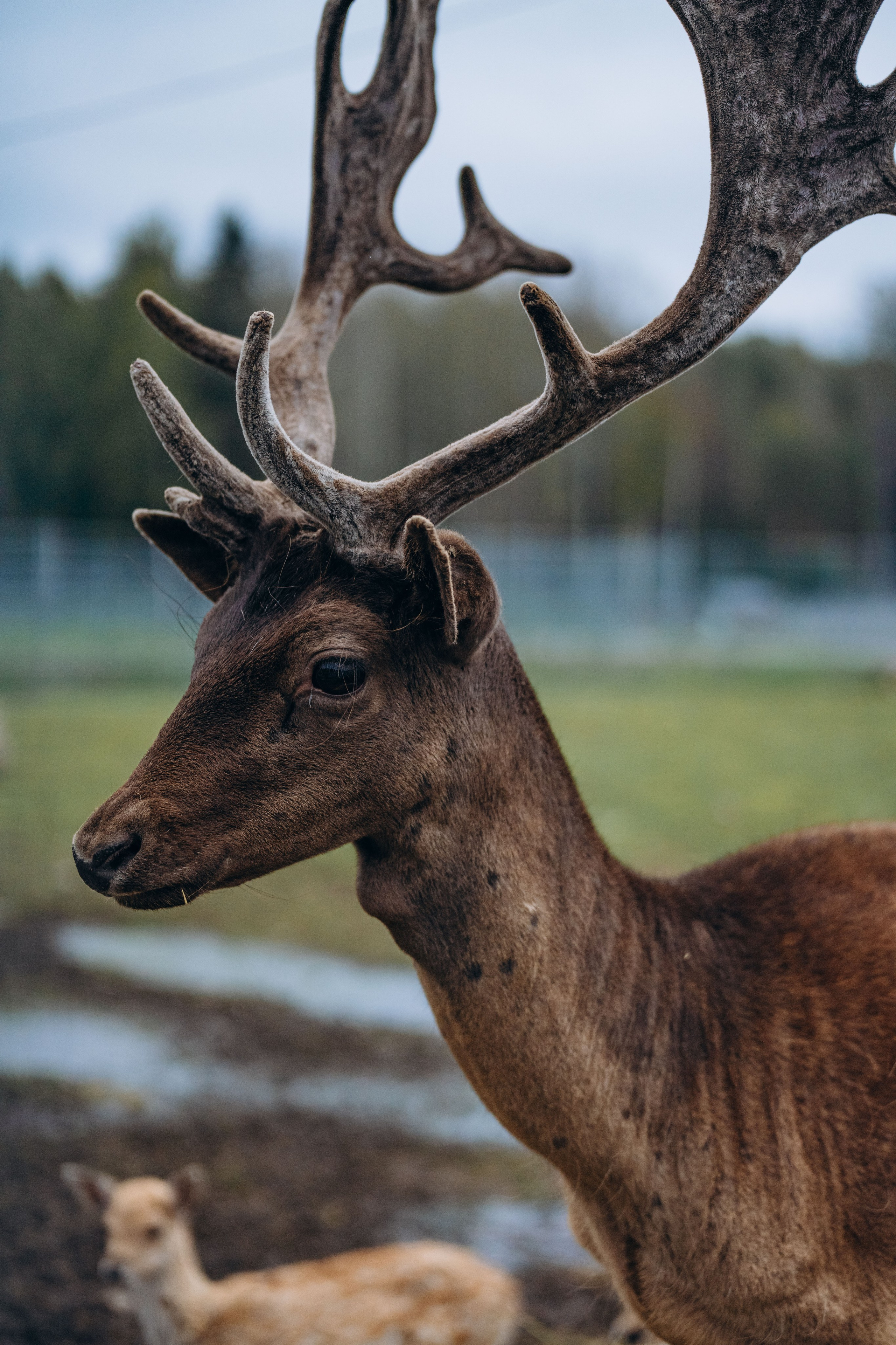 СЕВЕР. Event фотограф Степанова Александра