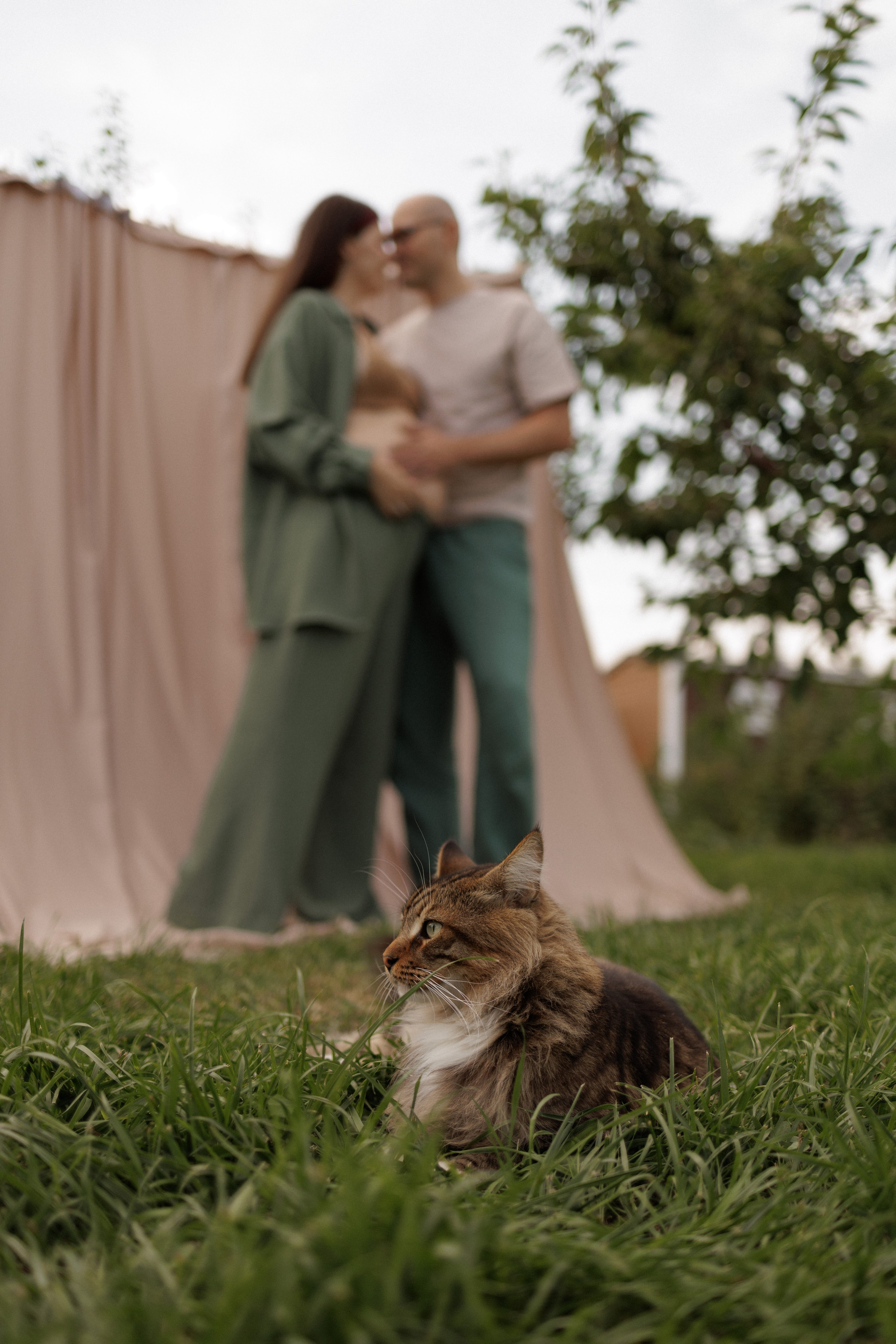 На закате одного прекрасного вечера. Фотограф Софья Гречка