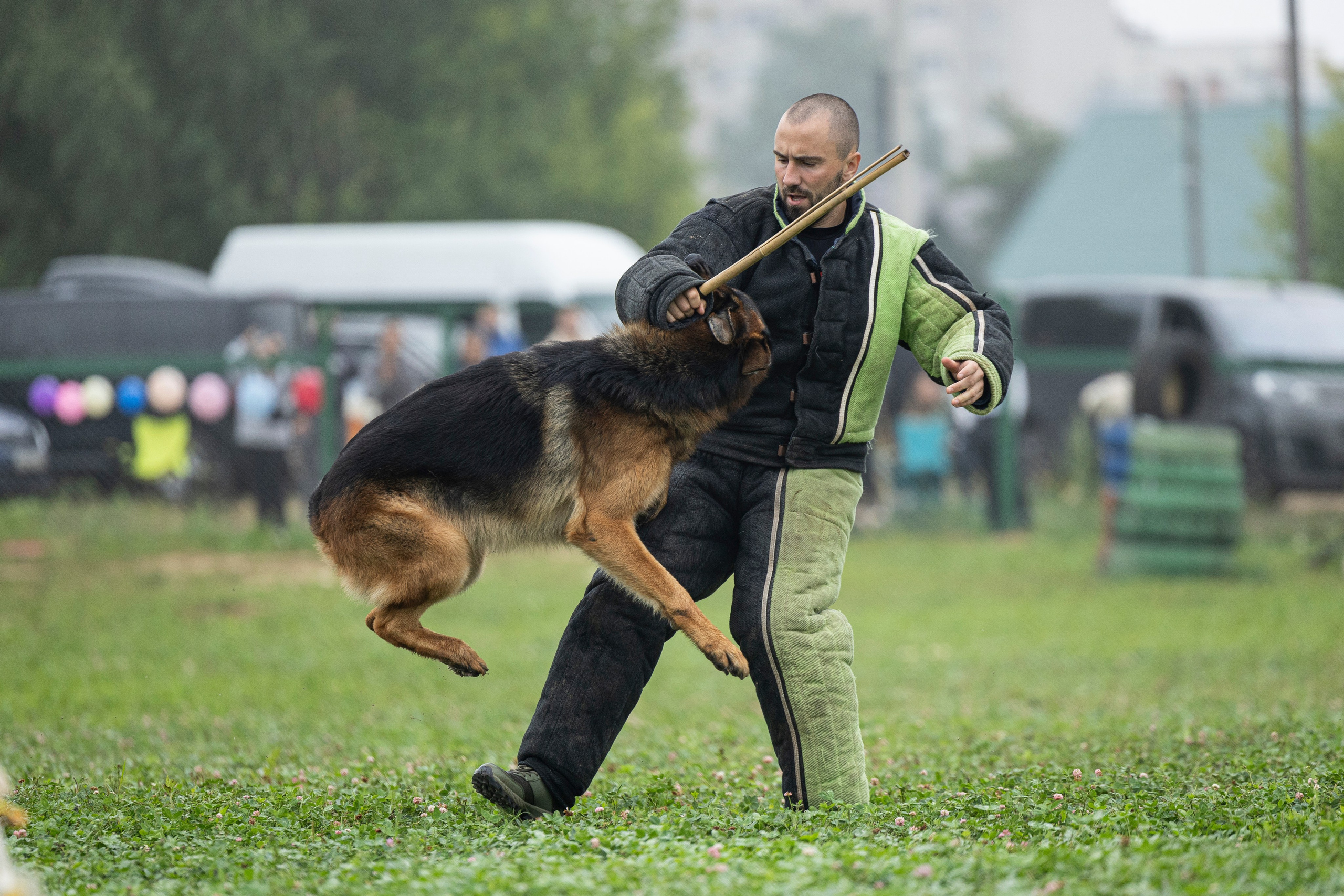 Соревнования по Мондьорингу г. Вологда 10-11.08.2024. Фотограф-анималист Анна Маринич