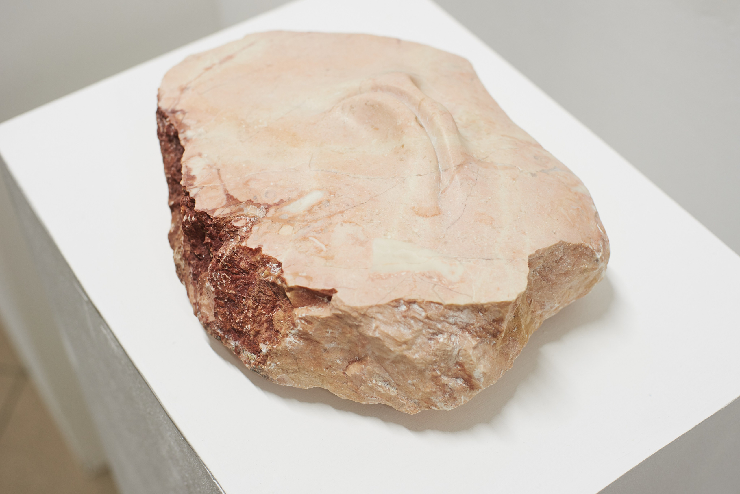 THE ALIENATED BODY. Ilmira Bolotyan — Interdisciplinary Artist and Curator