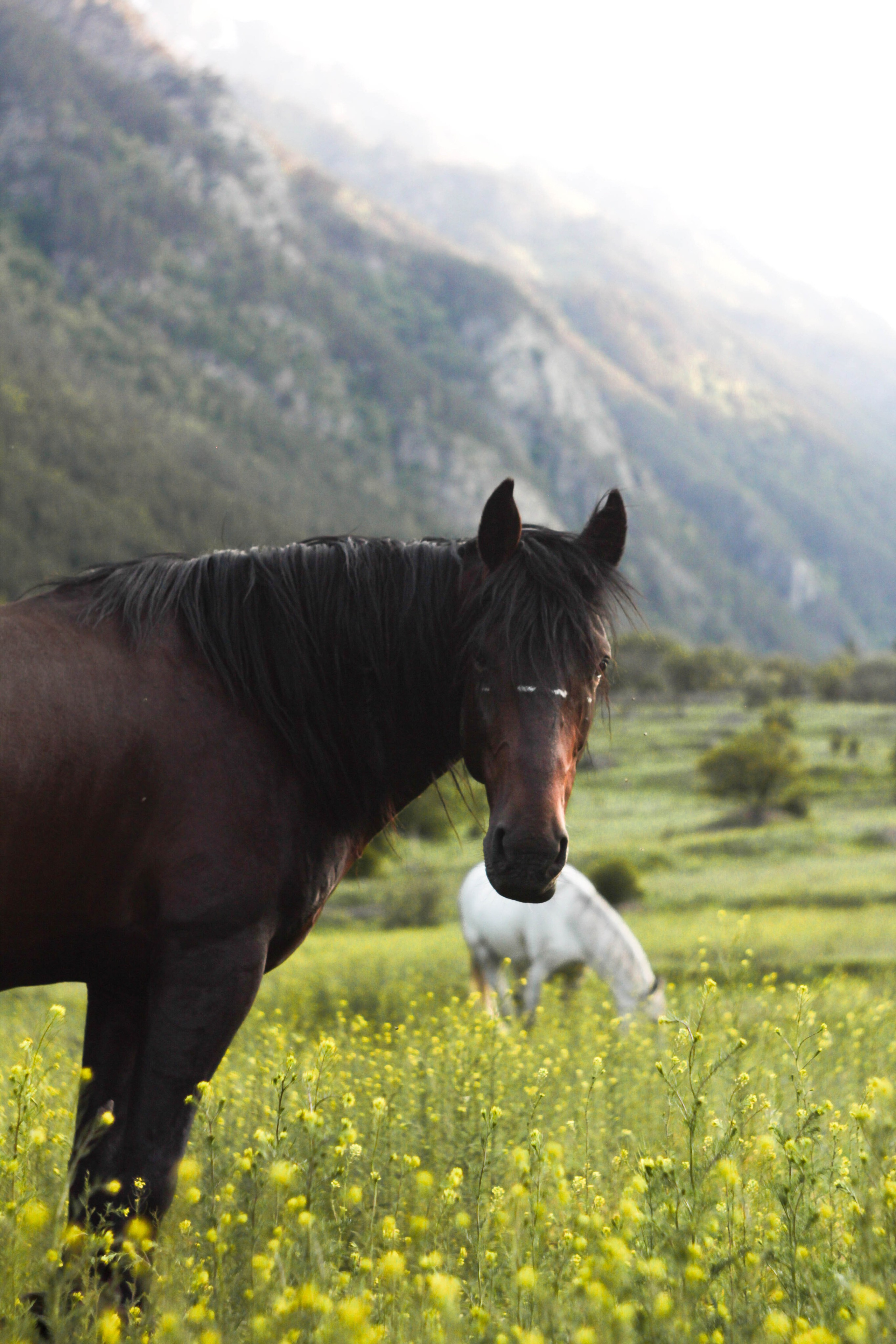 Природа. Фотограф Котий Даниил