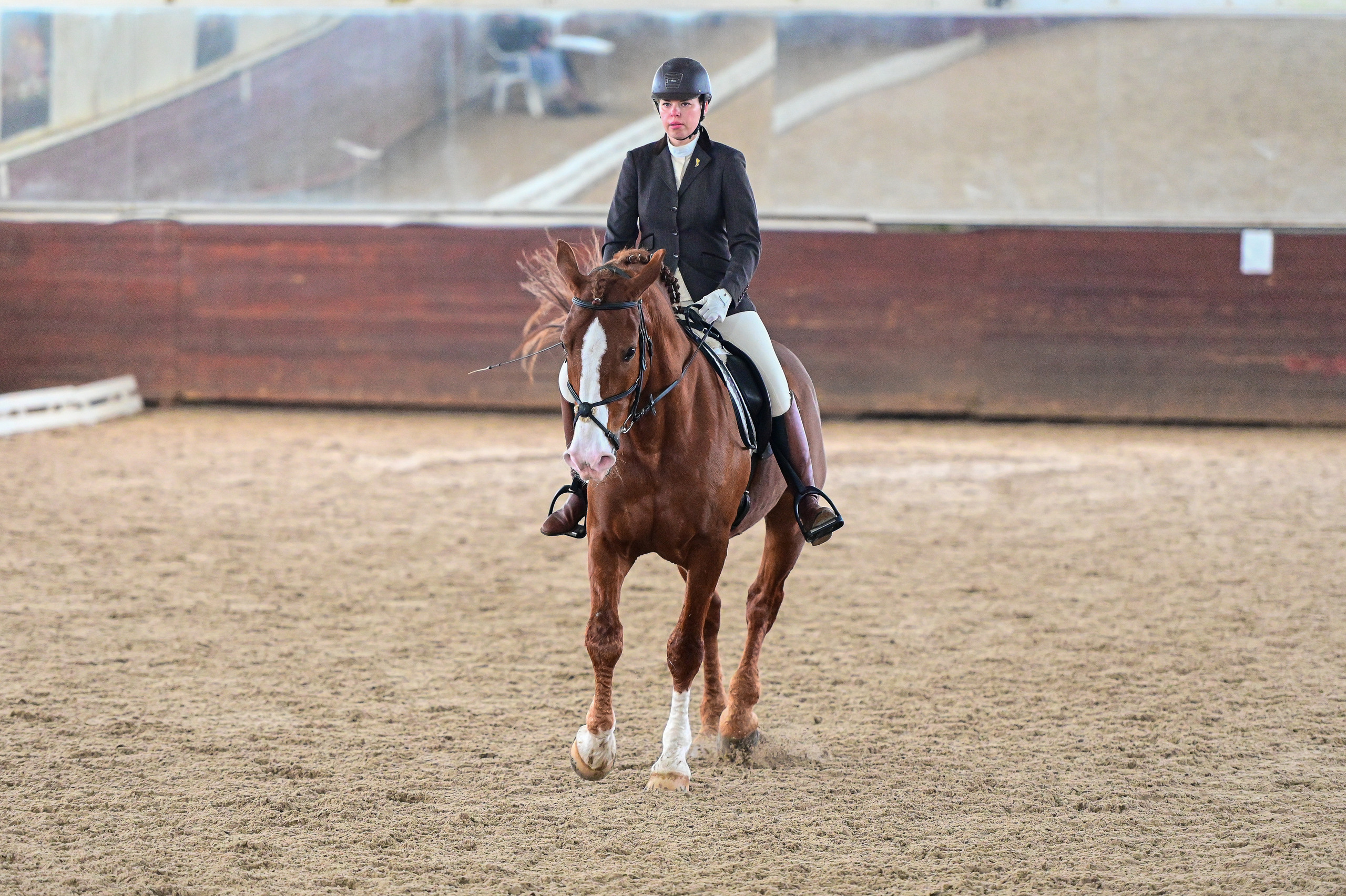 Отзывы. ТУРНИРНАЯ КОННАЯ ФОТОГРАФИЯ, Руднева Ольга и Евгений Адеев