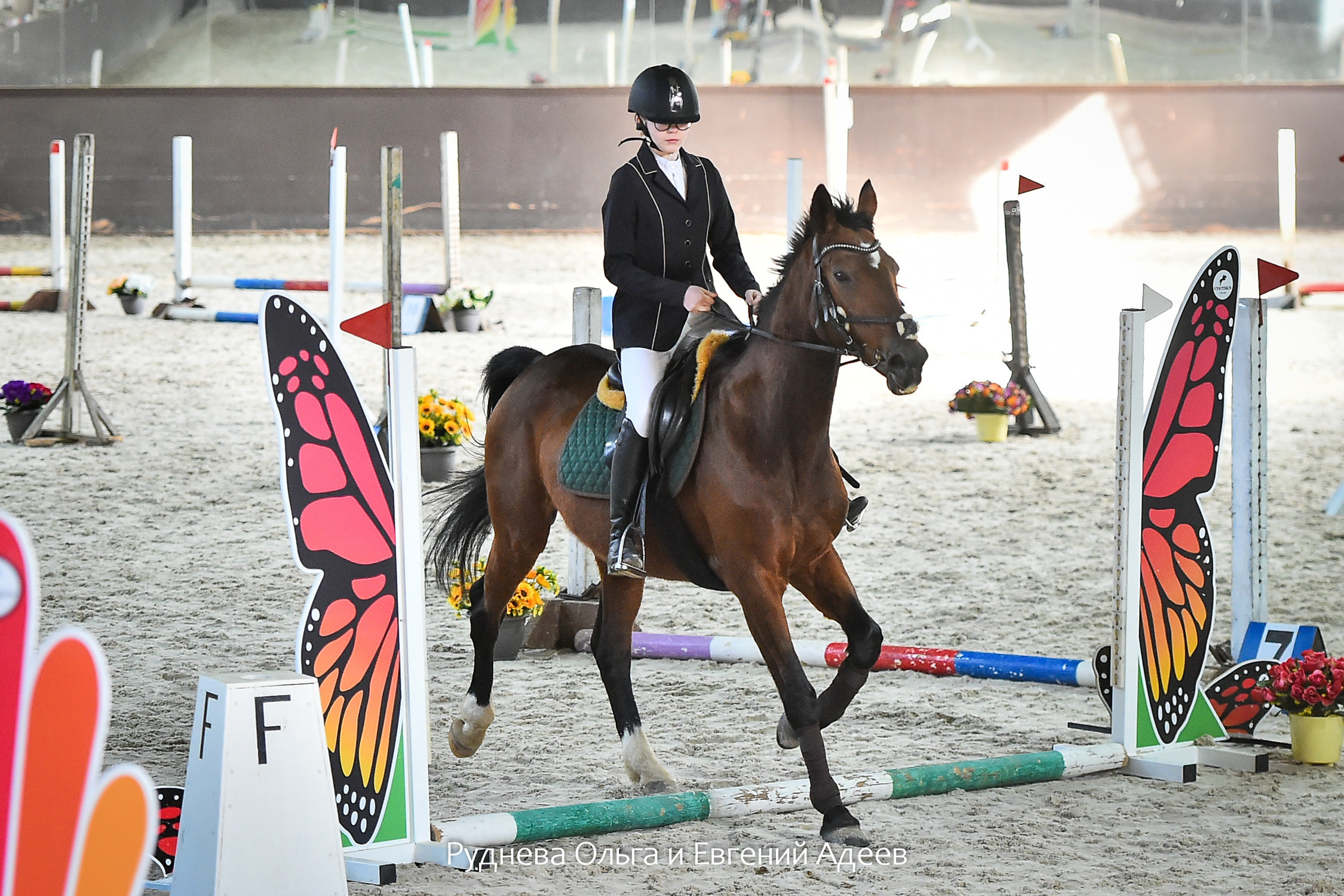 Отзывы. ТУРНИРНАЯ КОННАЯ ФОТОГРАФИЯ, Руднева Ольга и Евгений Адеев