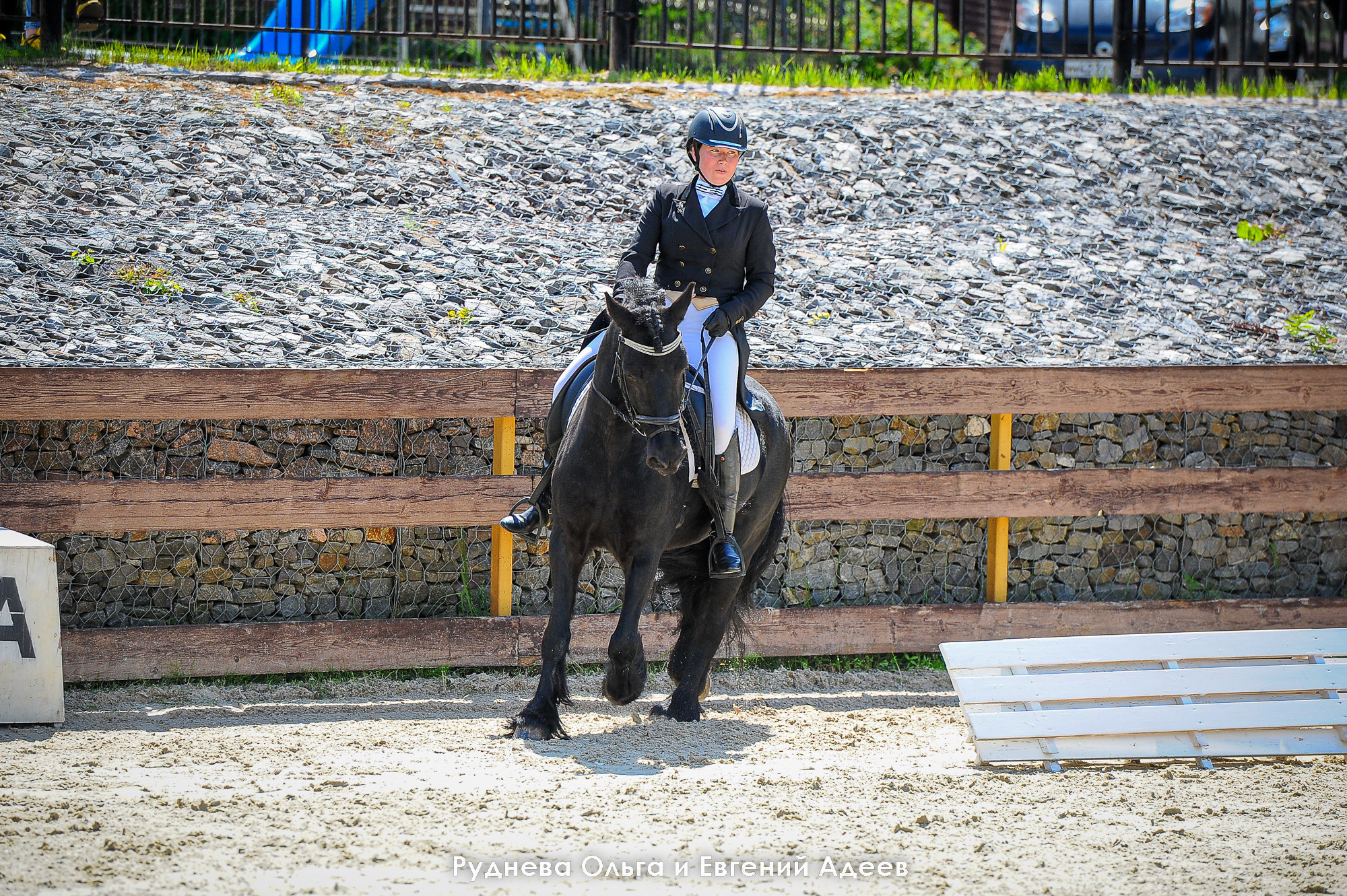 Отзывы. ТУРНИРНАЯ КОННАЯ ФОТОГРАФИЯ, Руднева Ольга и Евгений Адеев