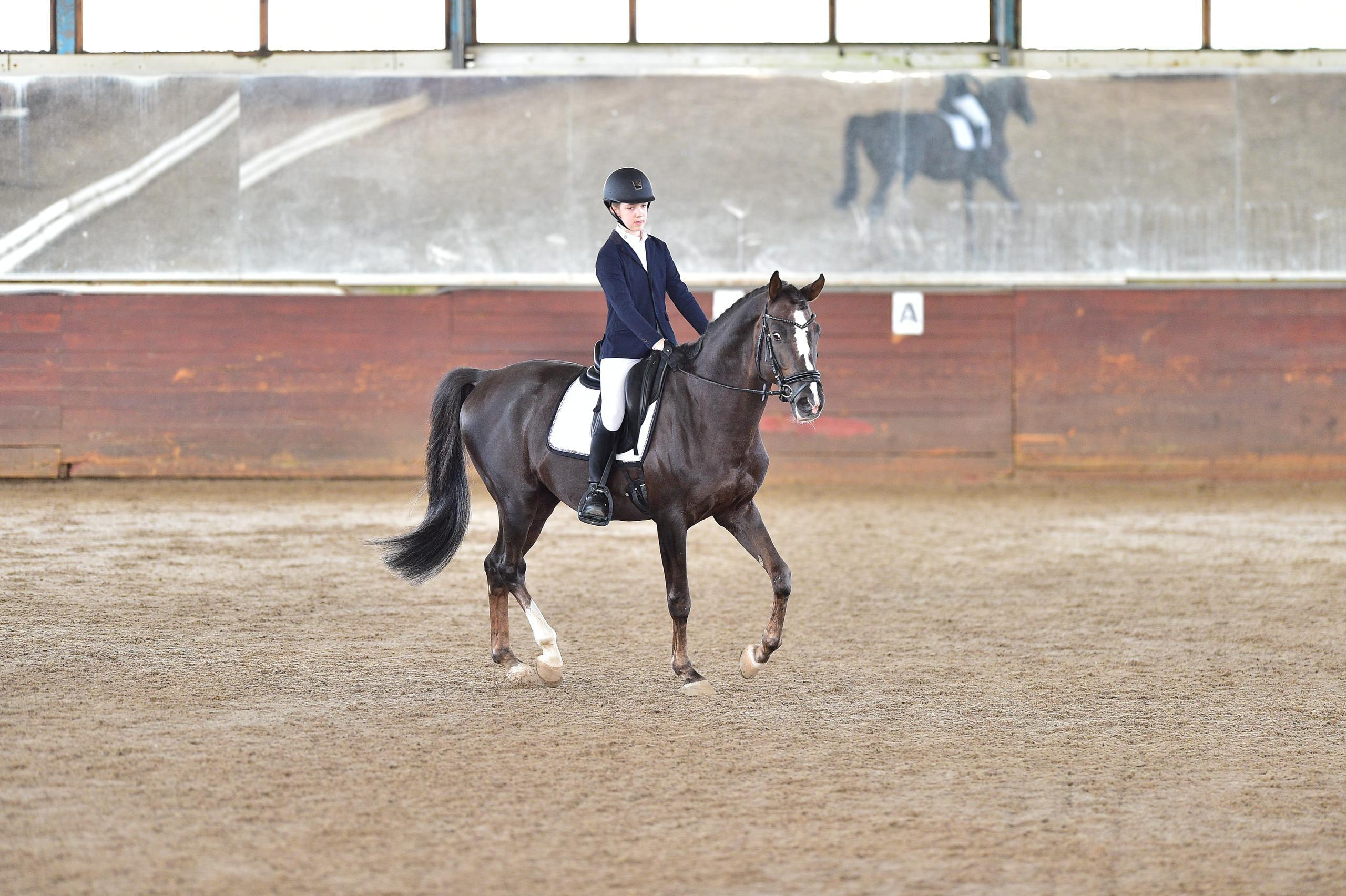 Отзывы. ТУРНИРНАЯ КОННАЯ ФОТОГРАФИЯ, Руднева Ольга и Евгений Адеев