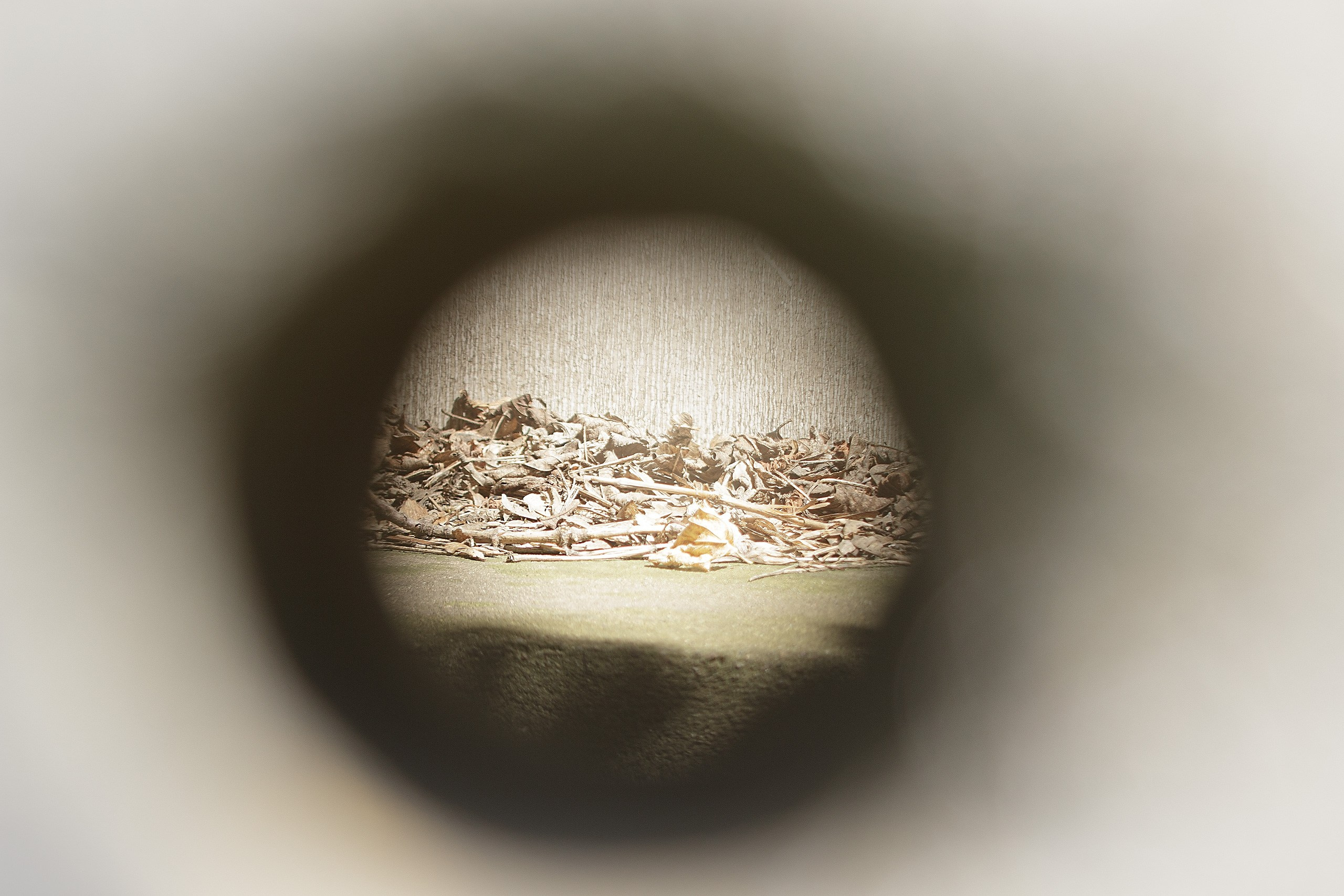 Проскользнуть в неведомое. Аmat Victoria Сuram