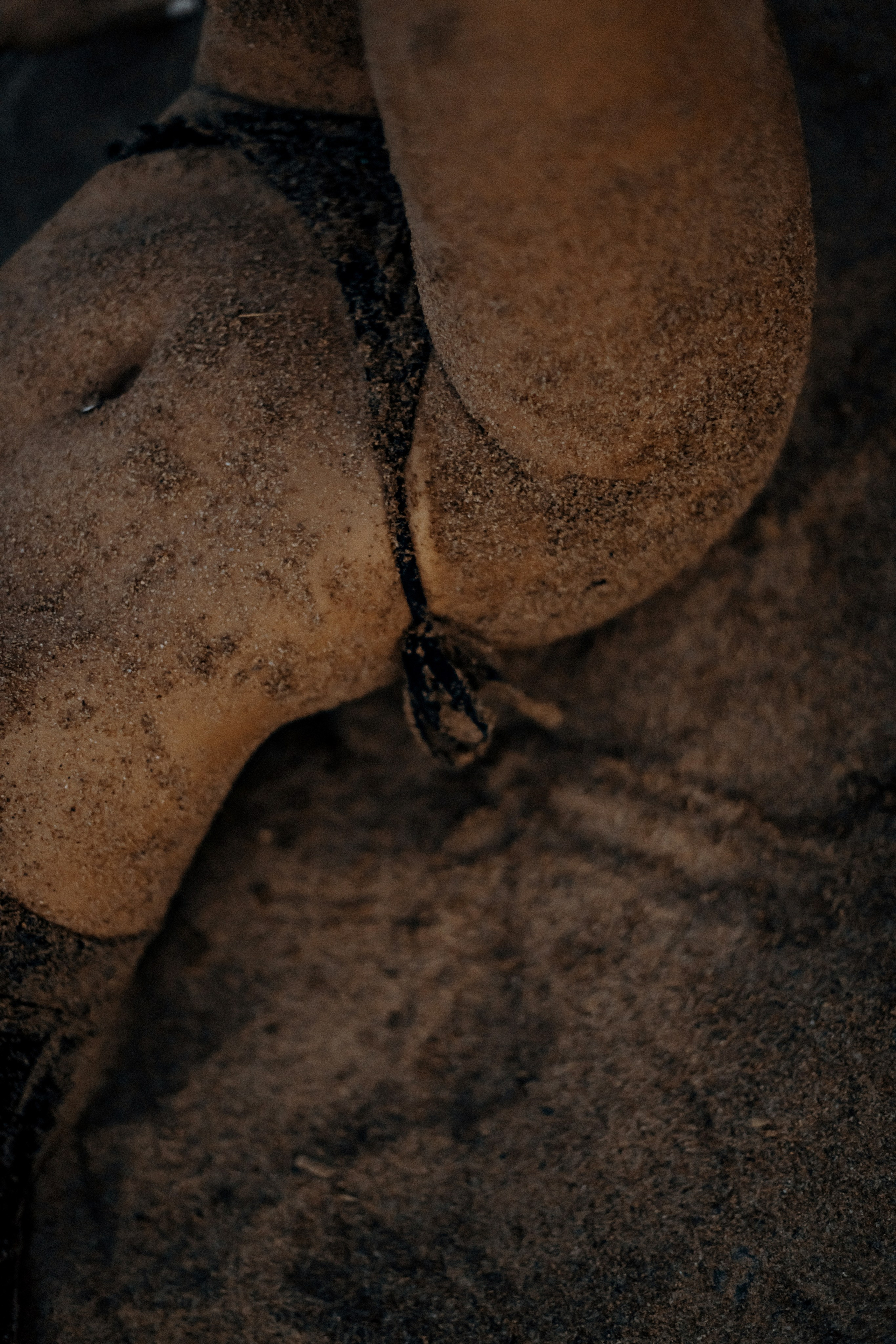 Юля. Свадебный фотограф в Санкт-Петербурге София Шубик