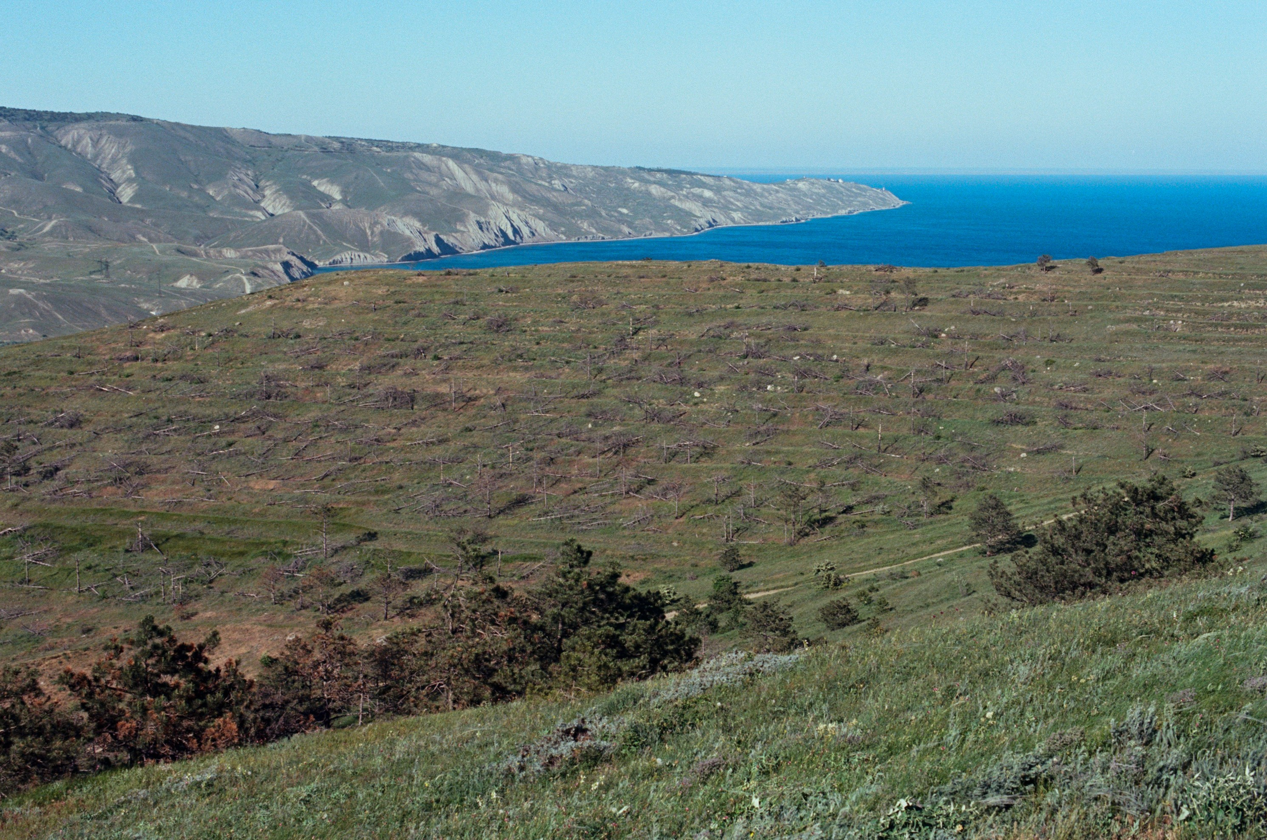 Kool-aid // ukraine, crimea. EVER EXPOSED