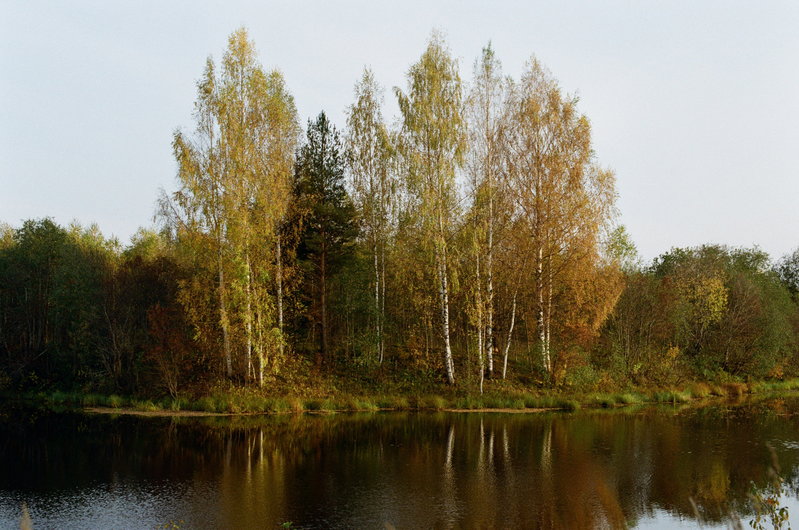 My name is dust // kostroma. EVER EXPOSED