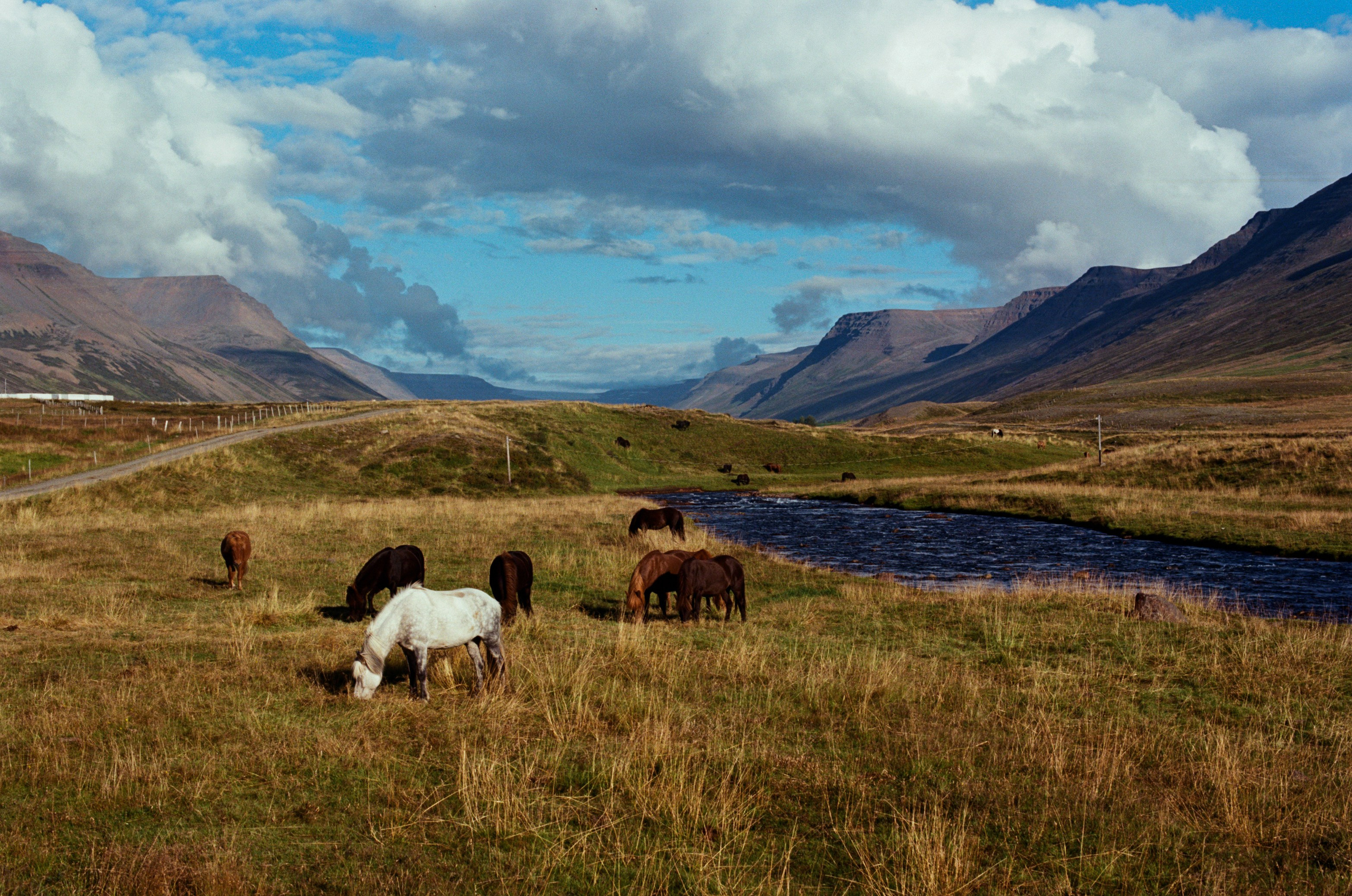 Unravelling // iceland, 76. EVER EXPOSED