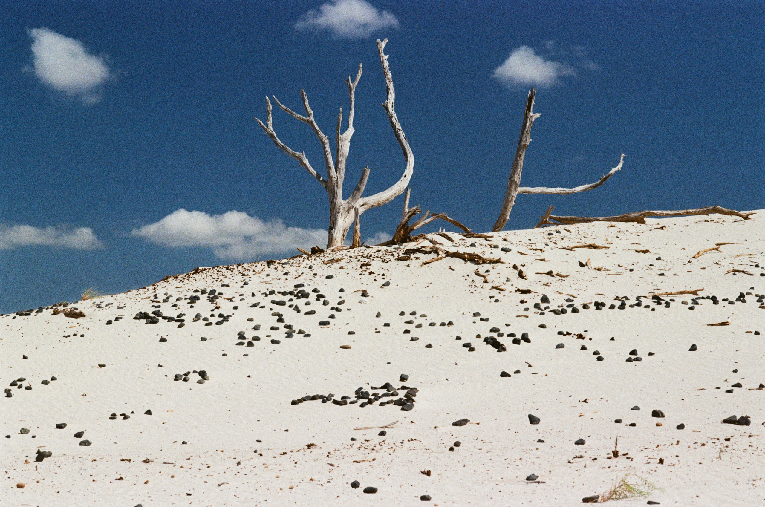 Coraline // sardinia, is arenas biancas. EVER EXPOSED