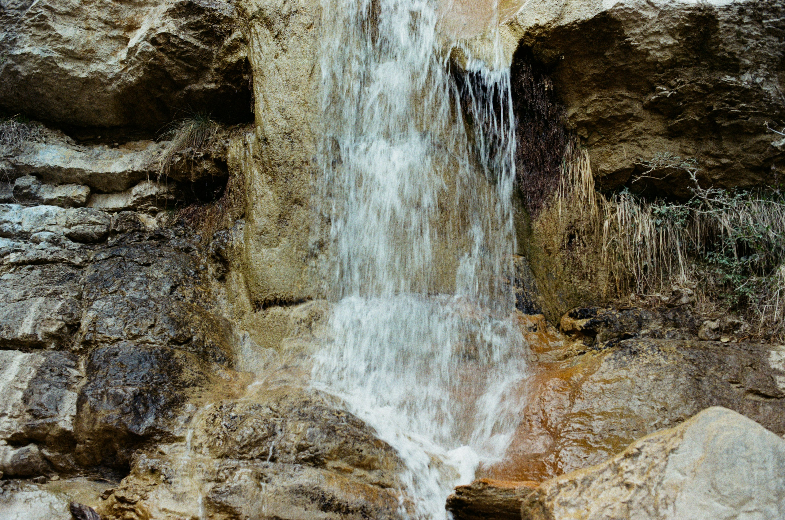 Silver strings // ukraine, crimea II. EVER EXPOSED