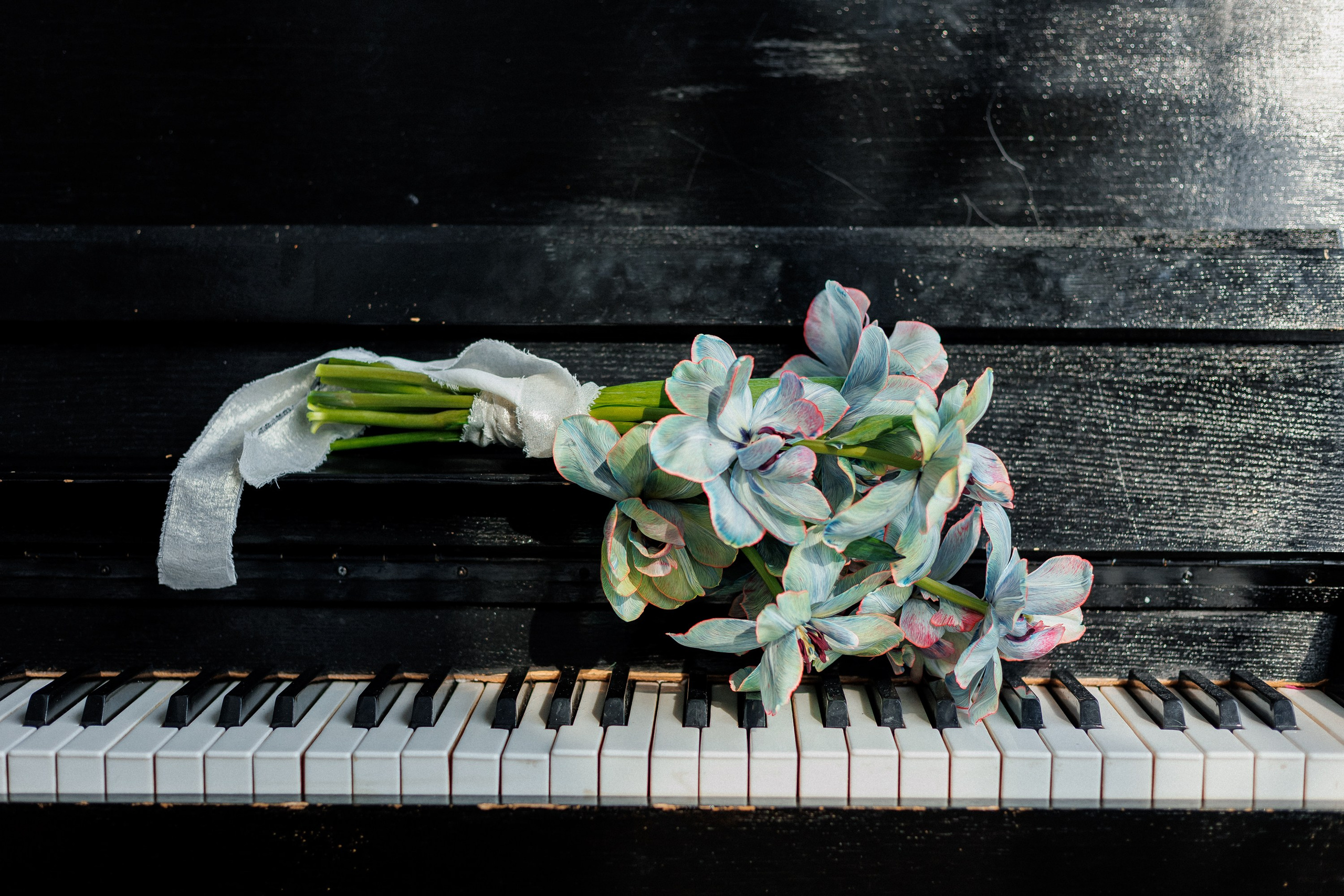 Фотопрактика МК Павла Лепешева. Фотограф из Хабаровска Юлия Черёмушкина