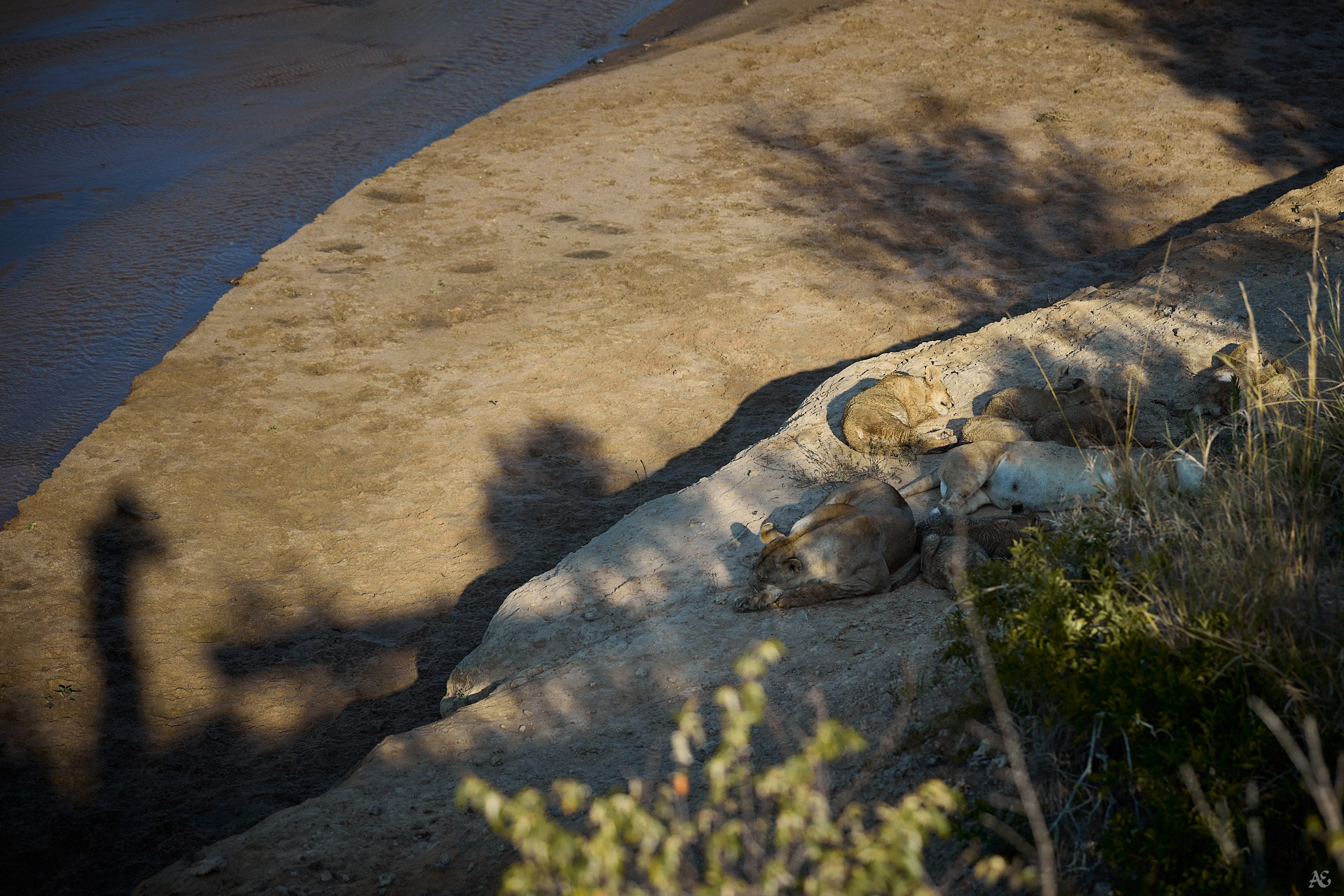 Лучше никого не будить