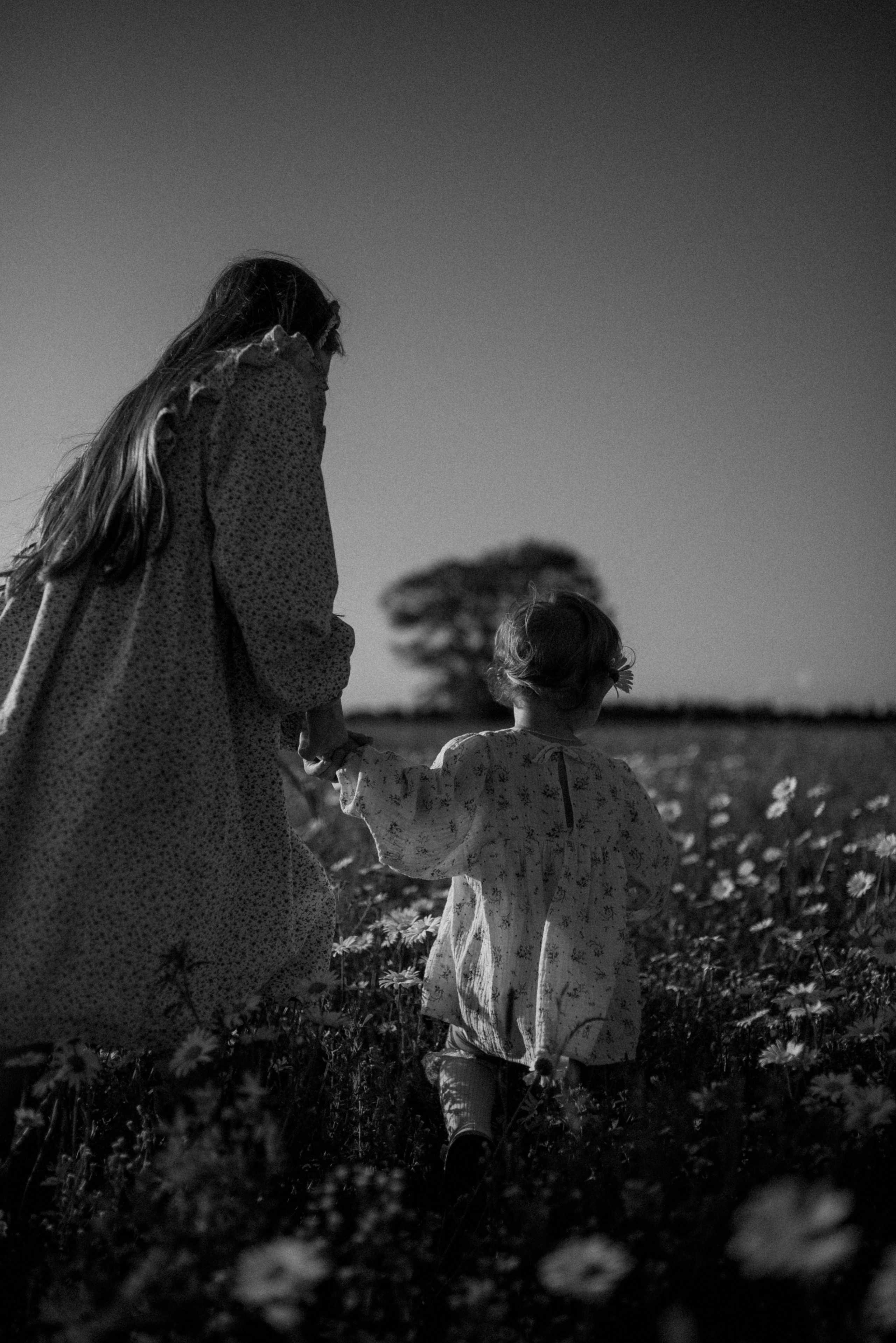 Ида, Мира и ромашки. Свадебный и семейный фотограф Кожевникова Лариса