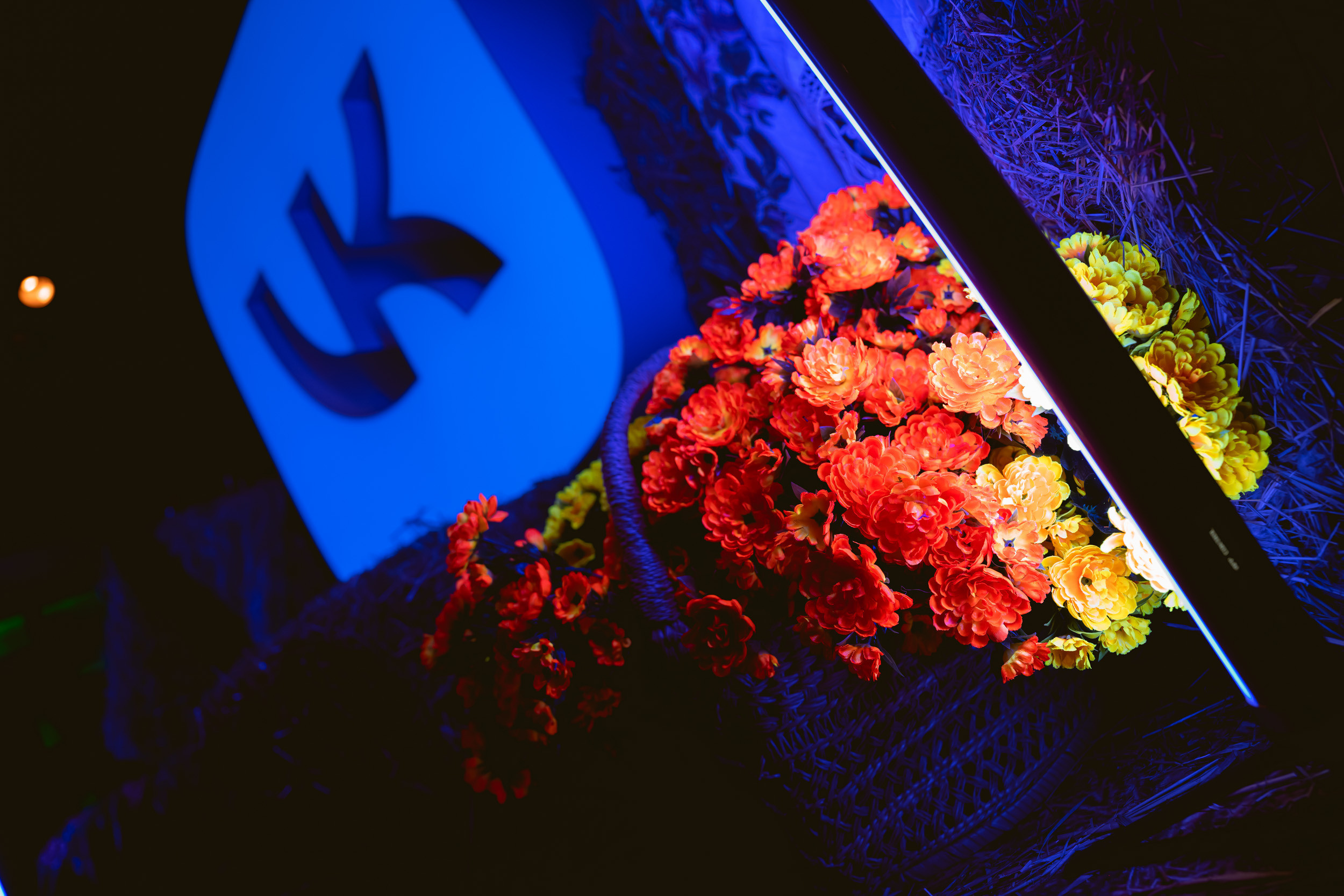 Natalia Hasankhanova’s Birthday. Фотограф Кирилл Сафонов