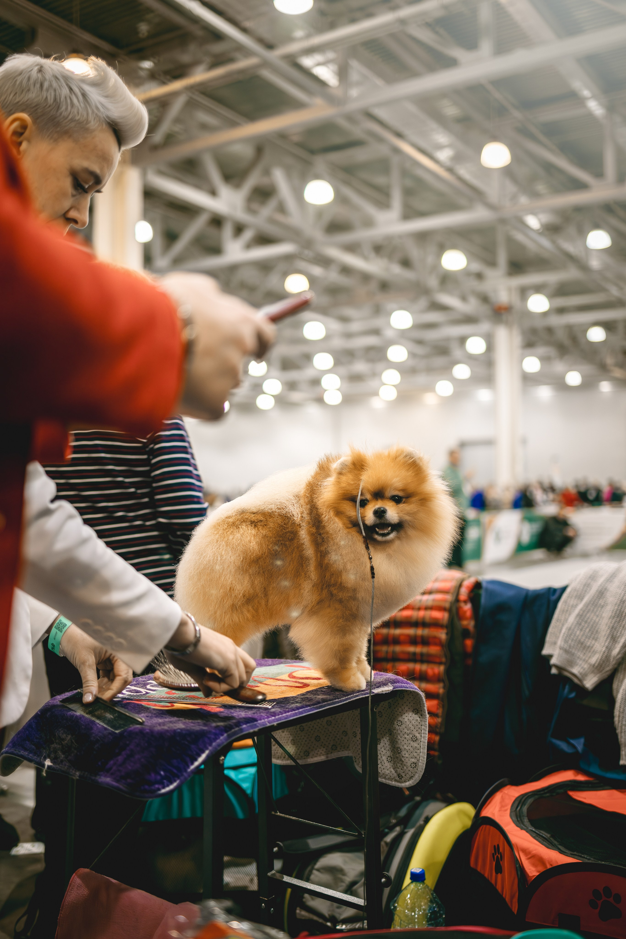 Евразия 2023. Фотограф анималист в Москве Майорова Евгения