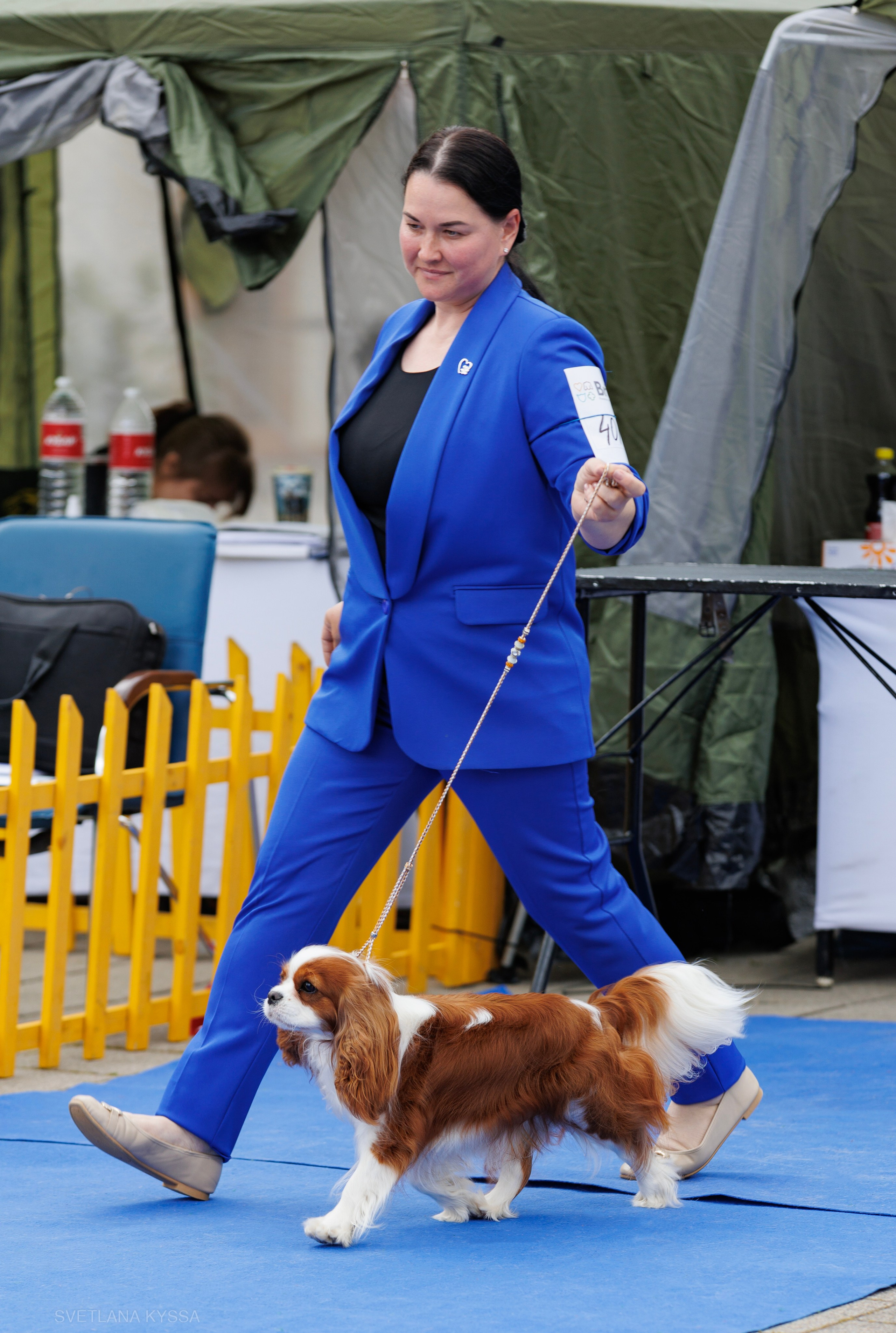 Фото с выставки собак. Фотограф — анималист Светлана Кысса|фотограф собак в Краснодаре и Нижнем Новгороде