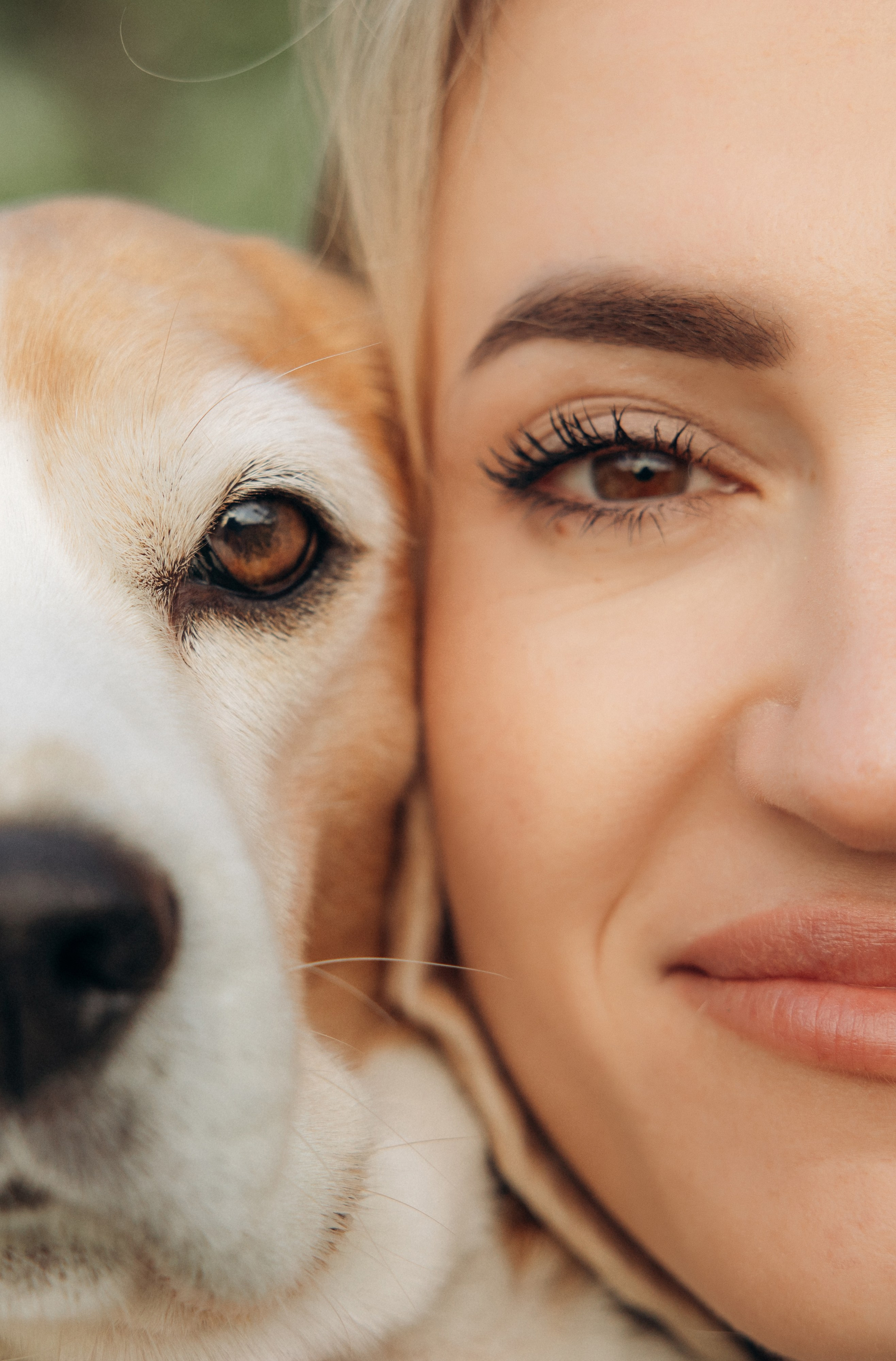 Кристина и Нора. На закате дня. Фотограф анималист в Казани Алина Сулейманова. Фотограф животных
