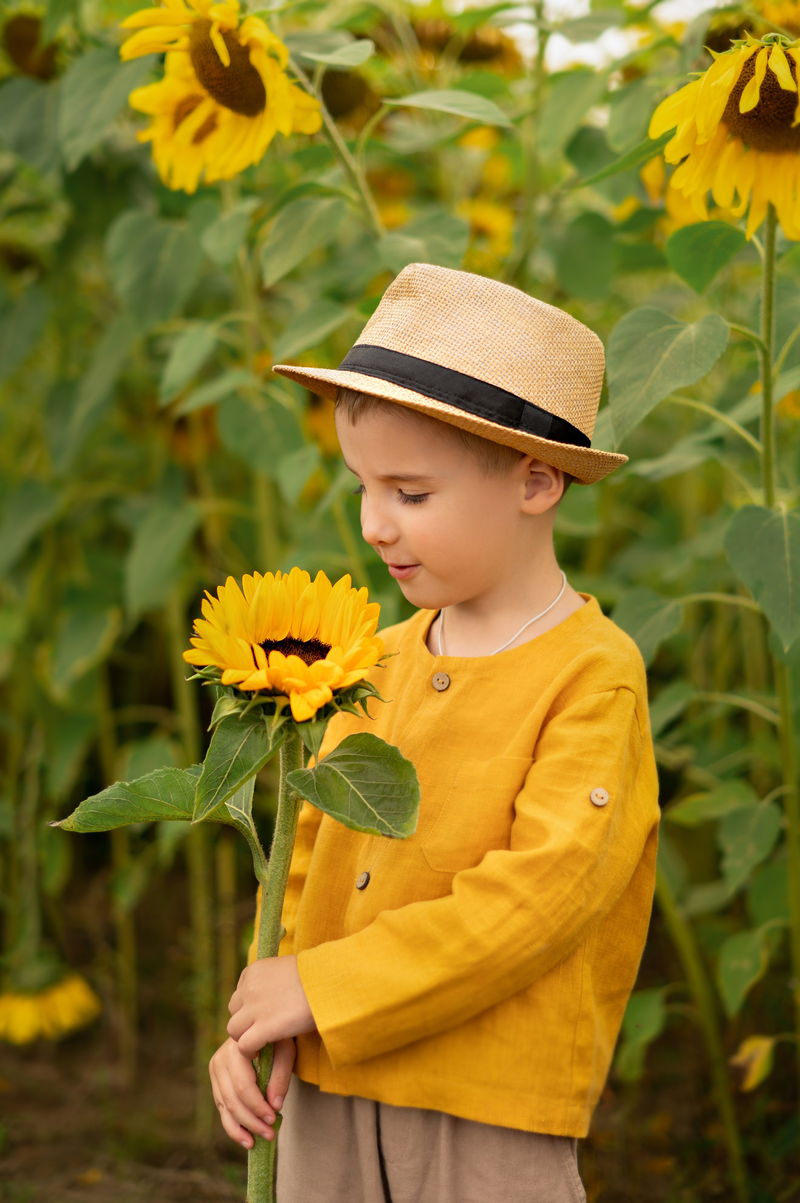 Подсолнухи. Детский и семейный фотограф г. Москва Оксана Катаджи