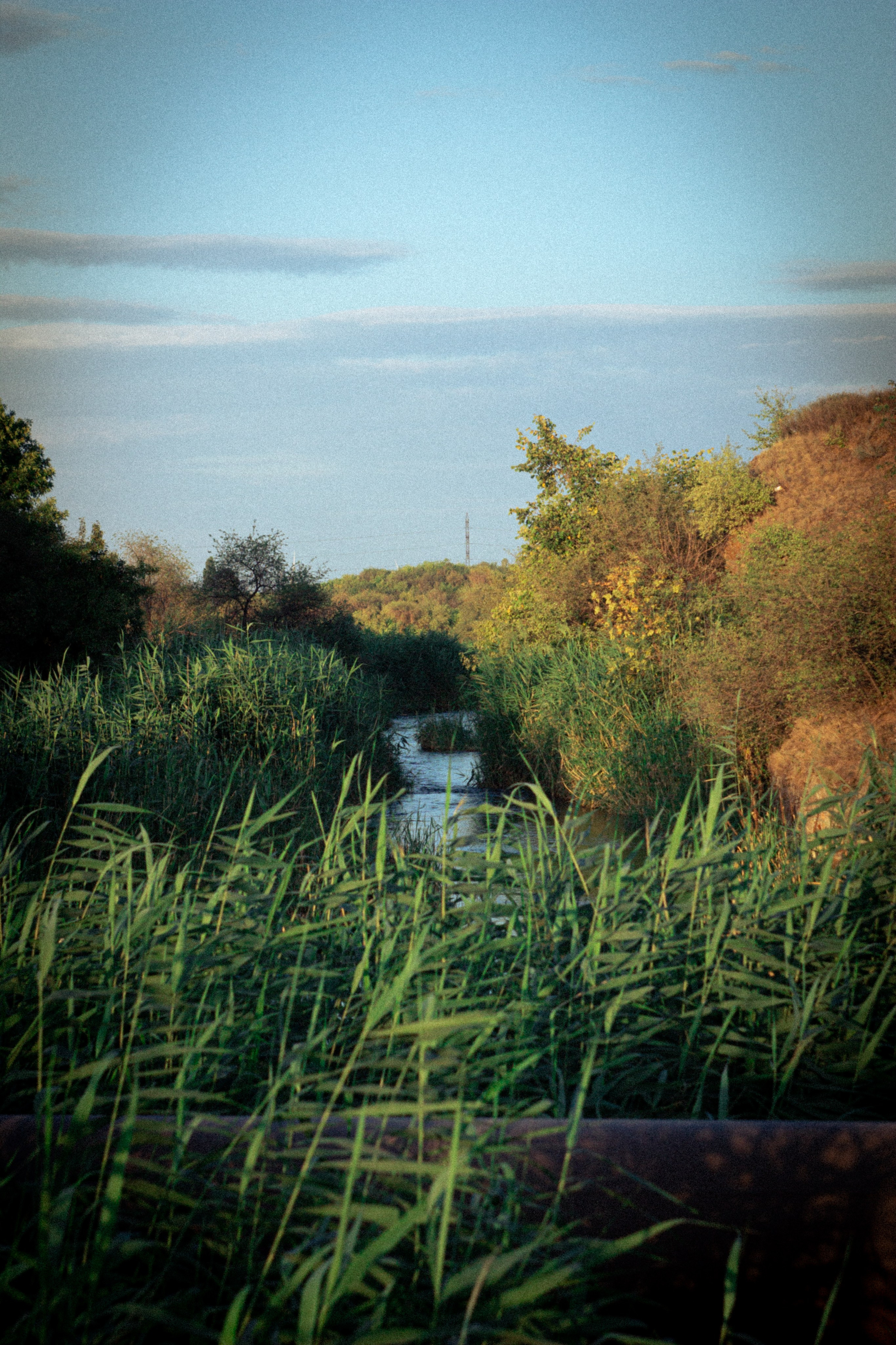 Платье в горошек. • Фотограф Александра Светозар Алчевск •