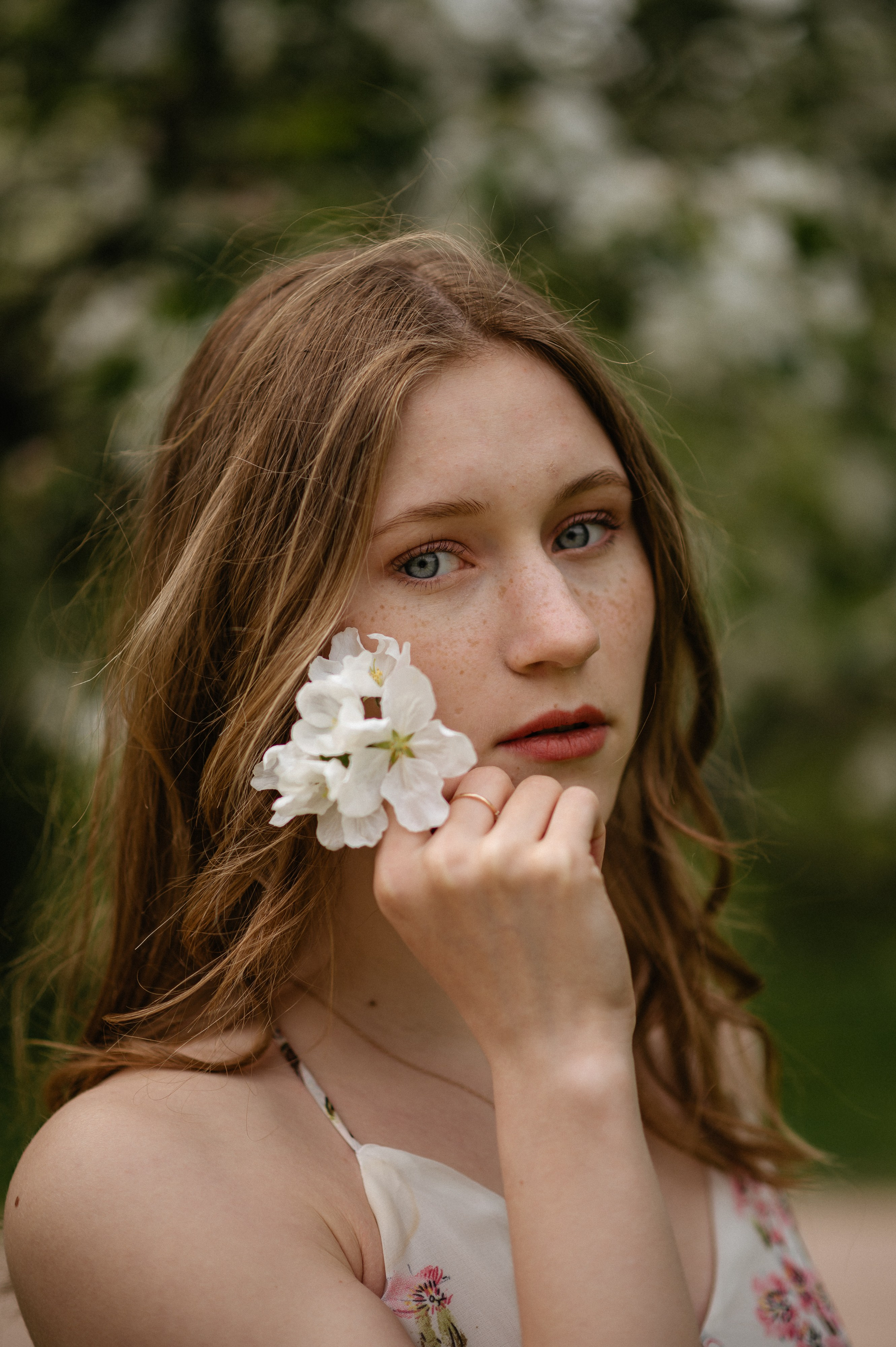 Ксюша, цветение. Главная