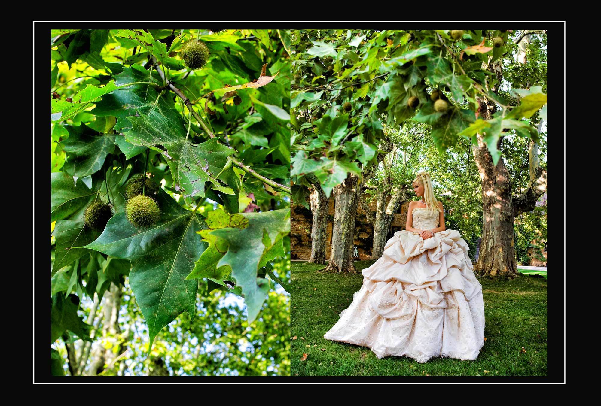 фотосессия невесты среди платанов