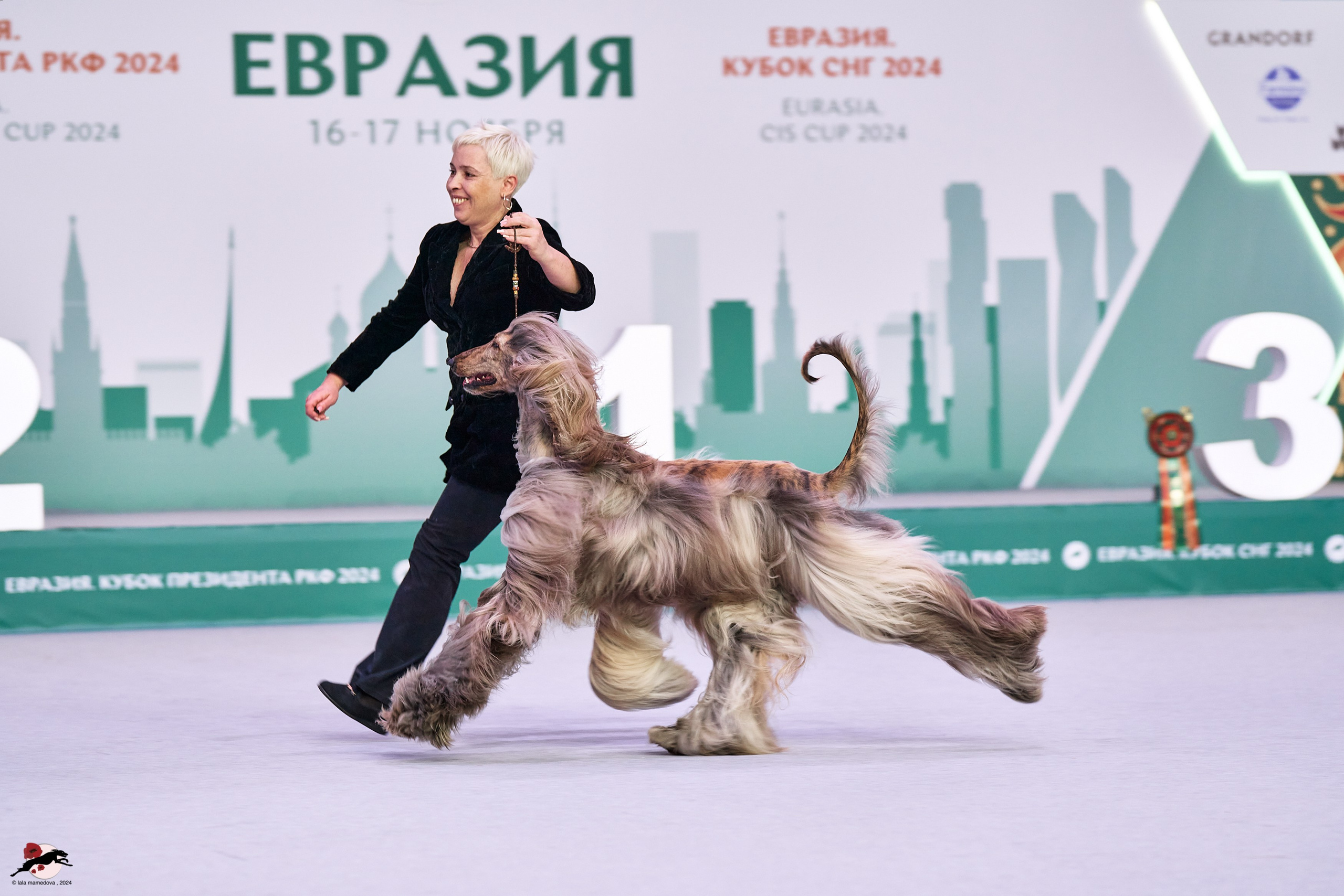 17.11.2024 «ЕВРАЗИЯ. КУБОК СНГ 2024»