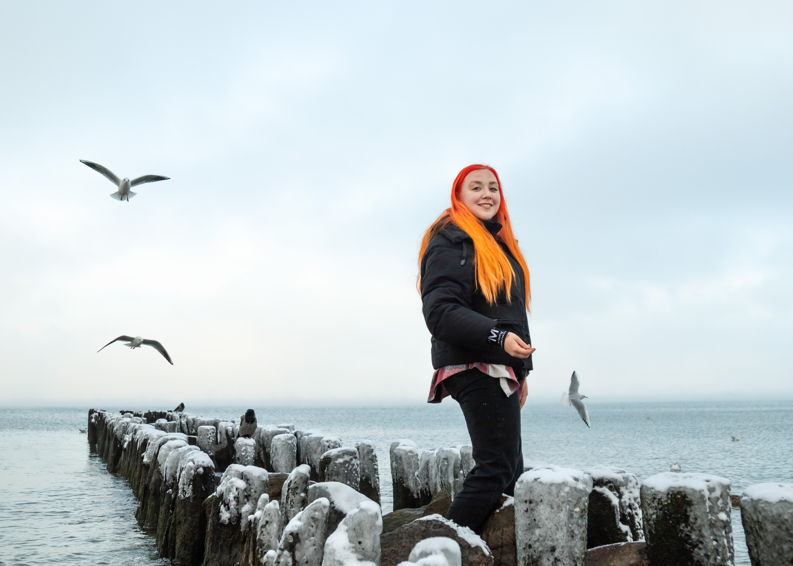 Ёлка на море. Фотограф Зеленоградск Лиана Сопина