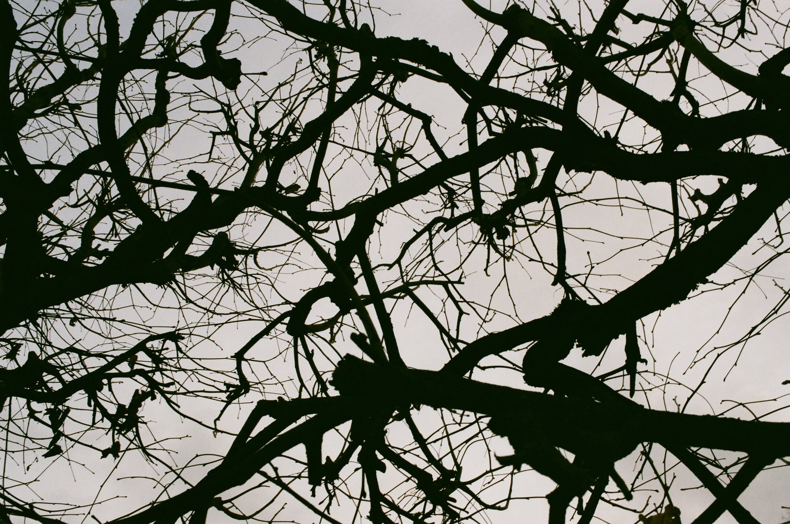 Film. Ruslan UI Dev Page