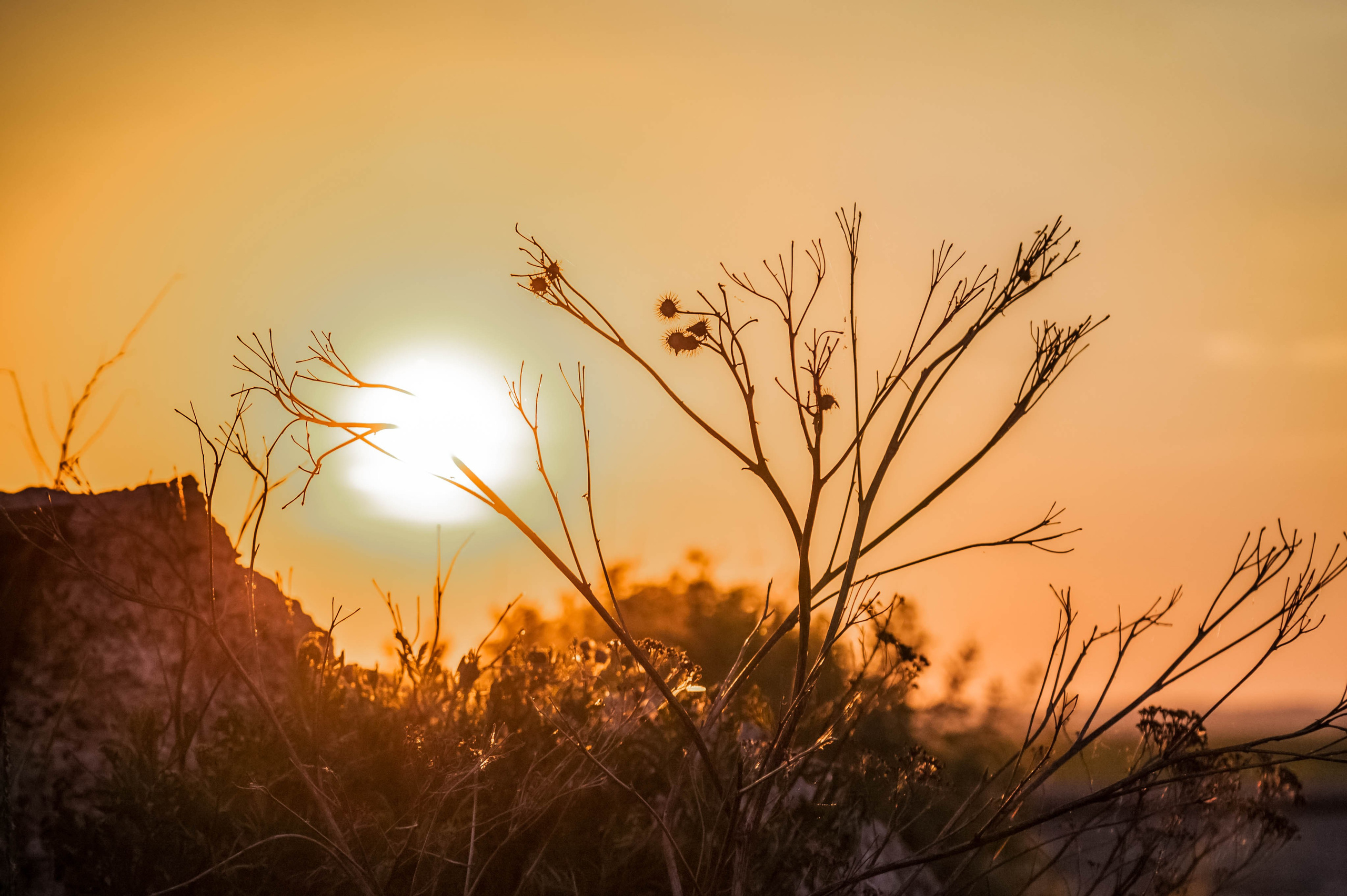 Александр и Ольга. Сергей Шумаков | Свадебный фотограф Москва