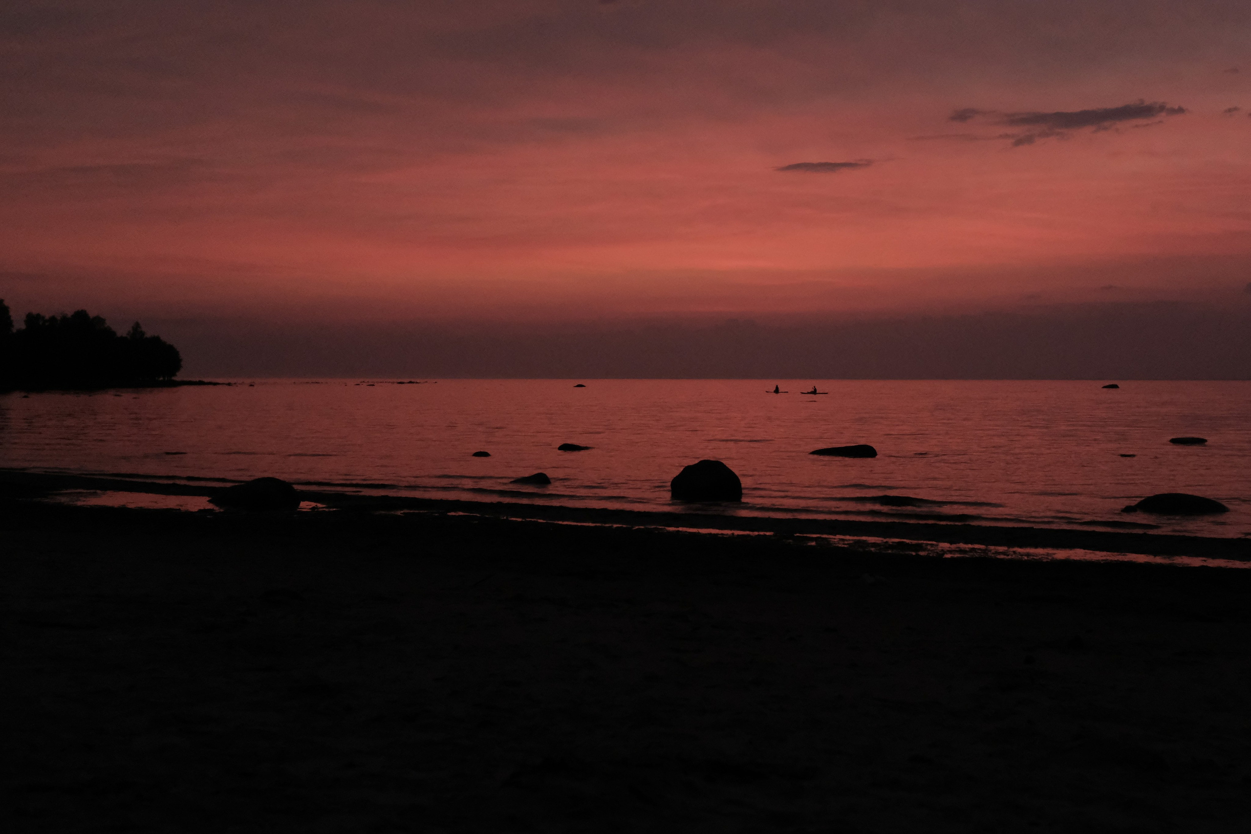 Пикник на обочине от команды EMC. 11июля 2025. Репортажный фотограф в Санкт-Петербурге Даниил Могута