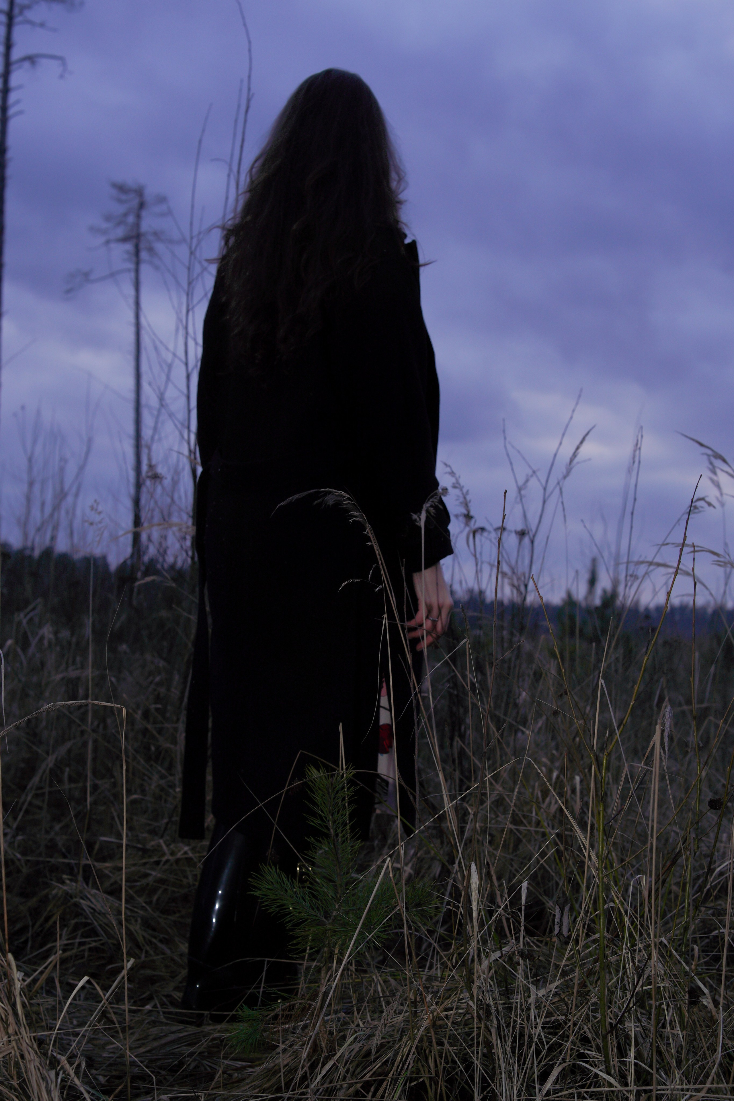 Портреты. Главная