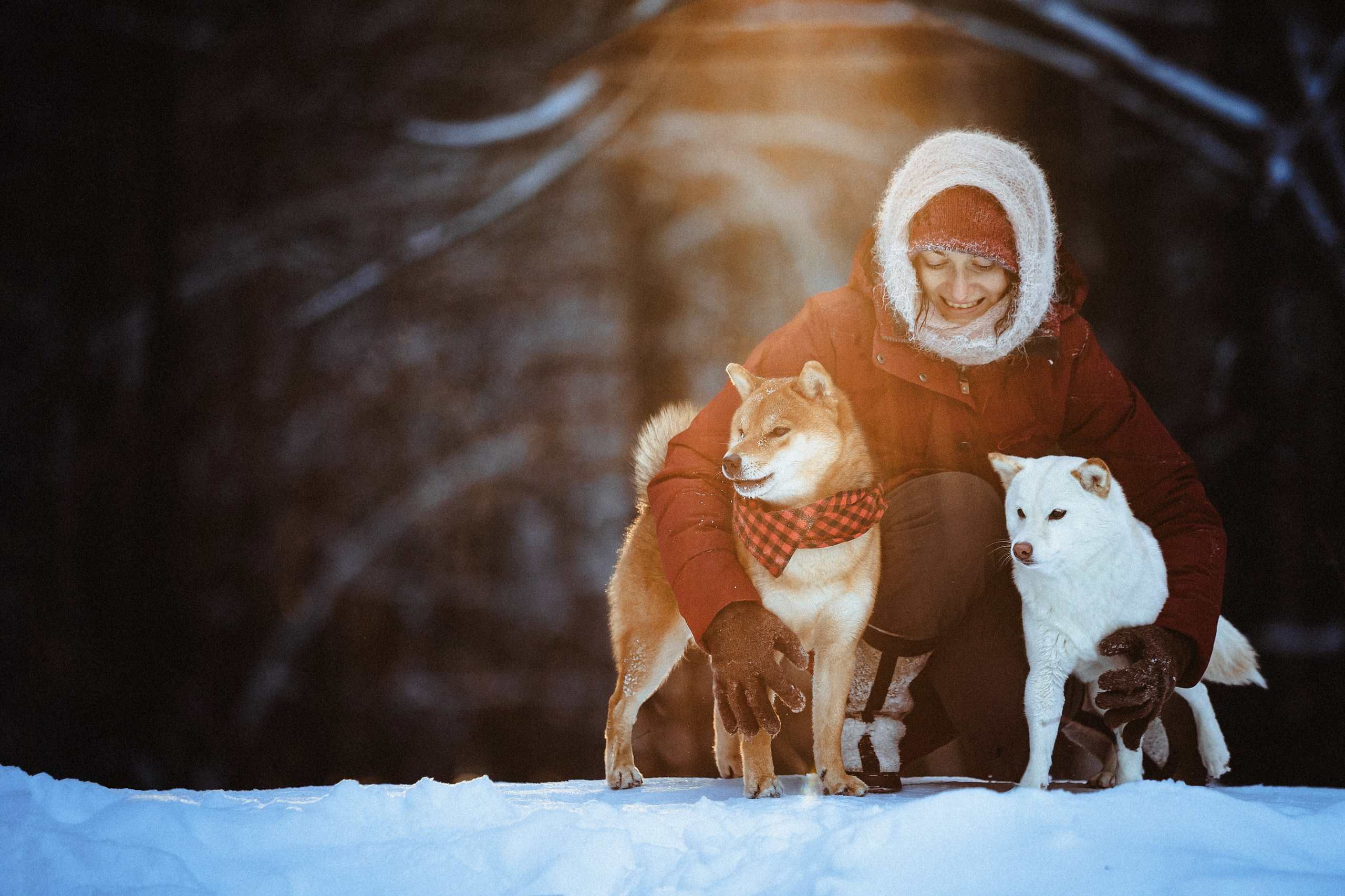 Шед, Цири и Ира