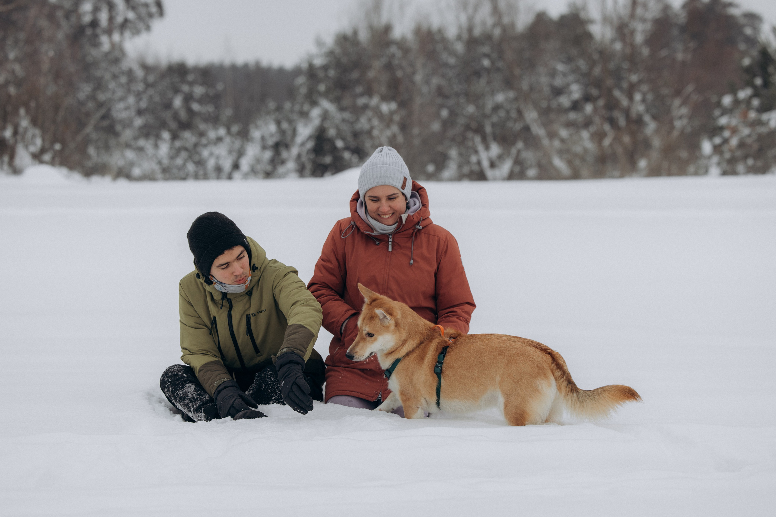 Прогулка на озере зимой. Фотограф анималист в Казани Алина Сулейманова. Фотограф животных