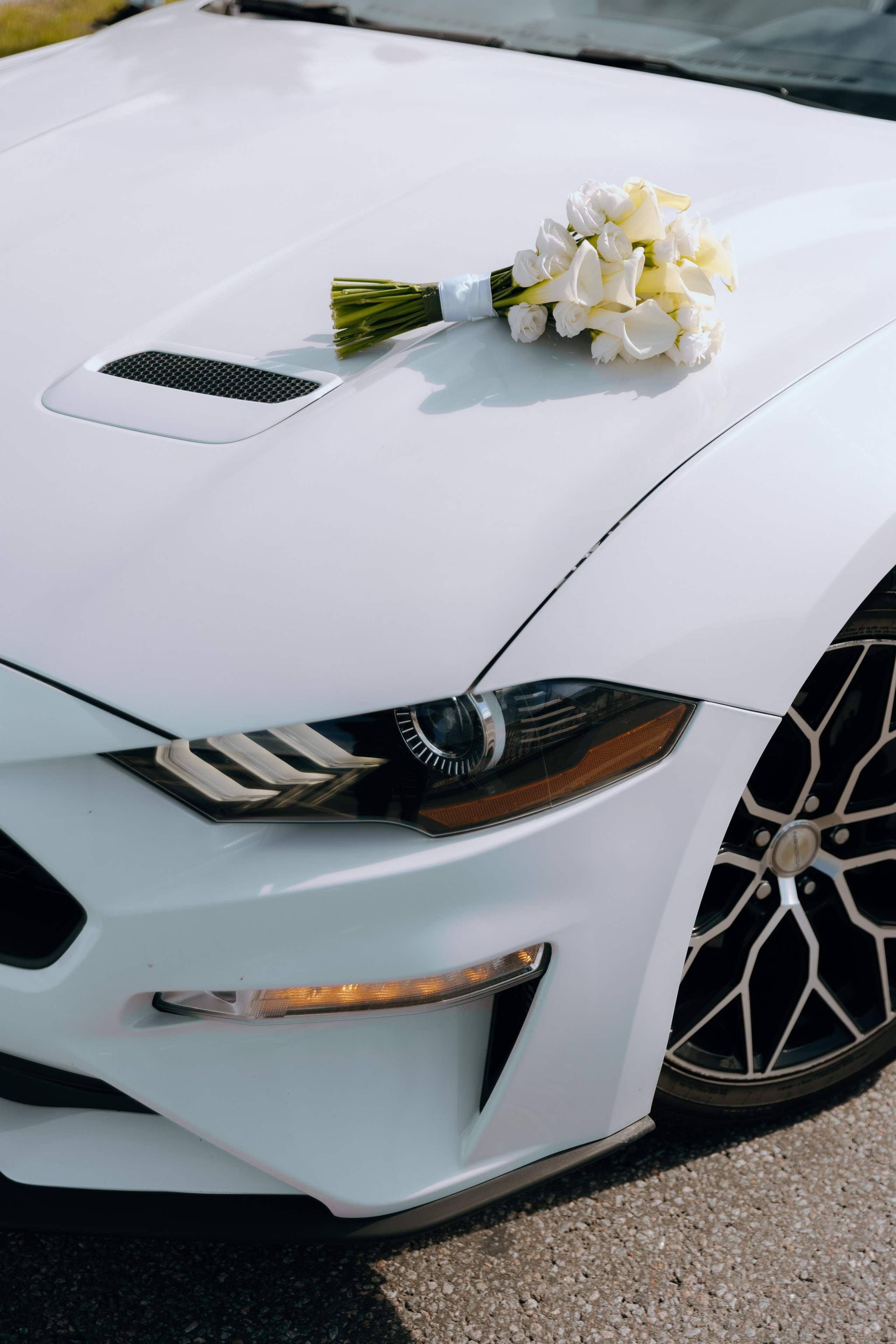 Свадебные съемки. Фотограф и видеограф в Северной столице