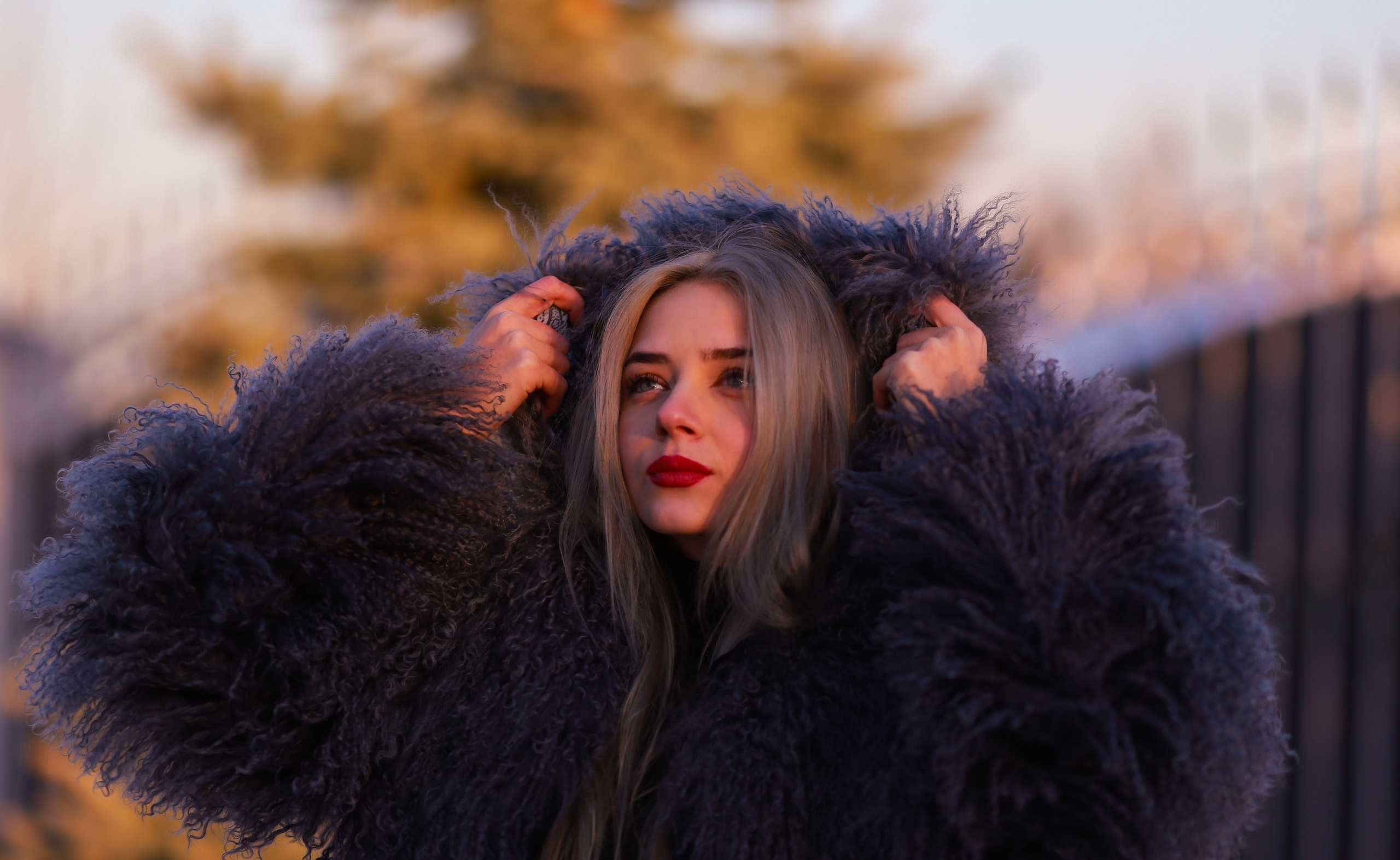 Галерея. Yuri The Photographer