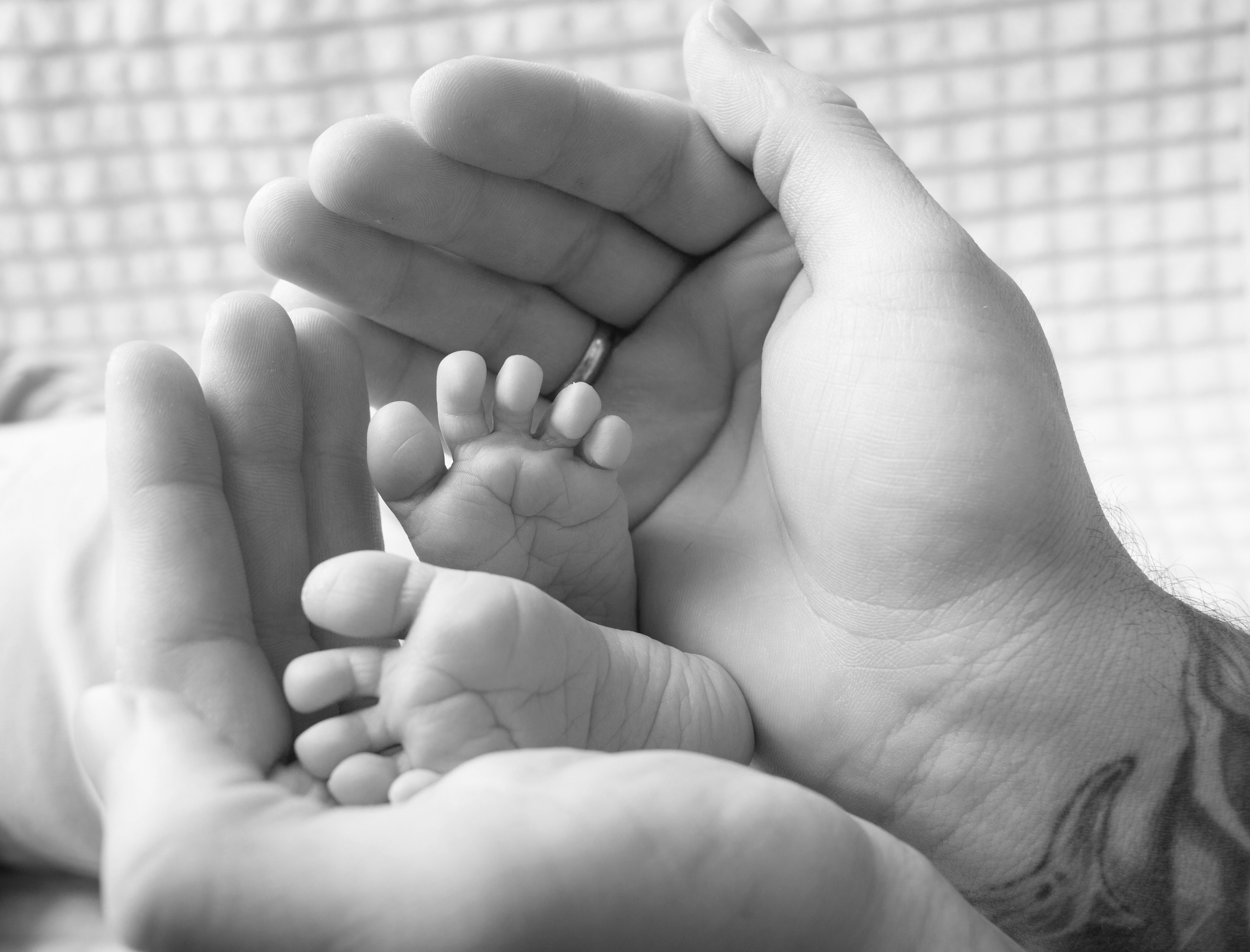 Съемки новорожденных. Семейный и детский фотограф Гульгена Фазулова