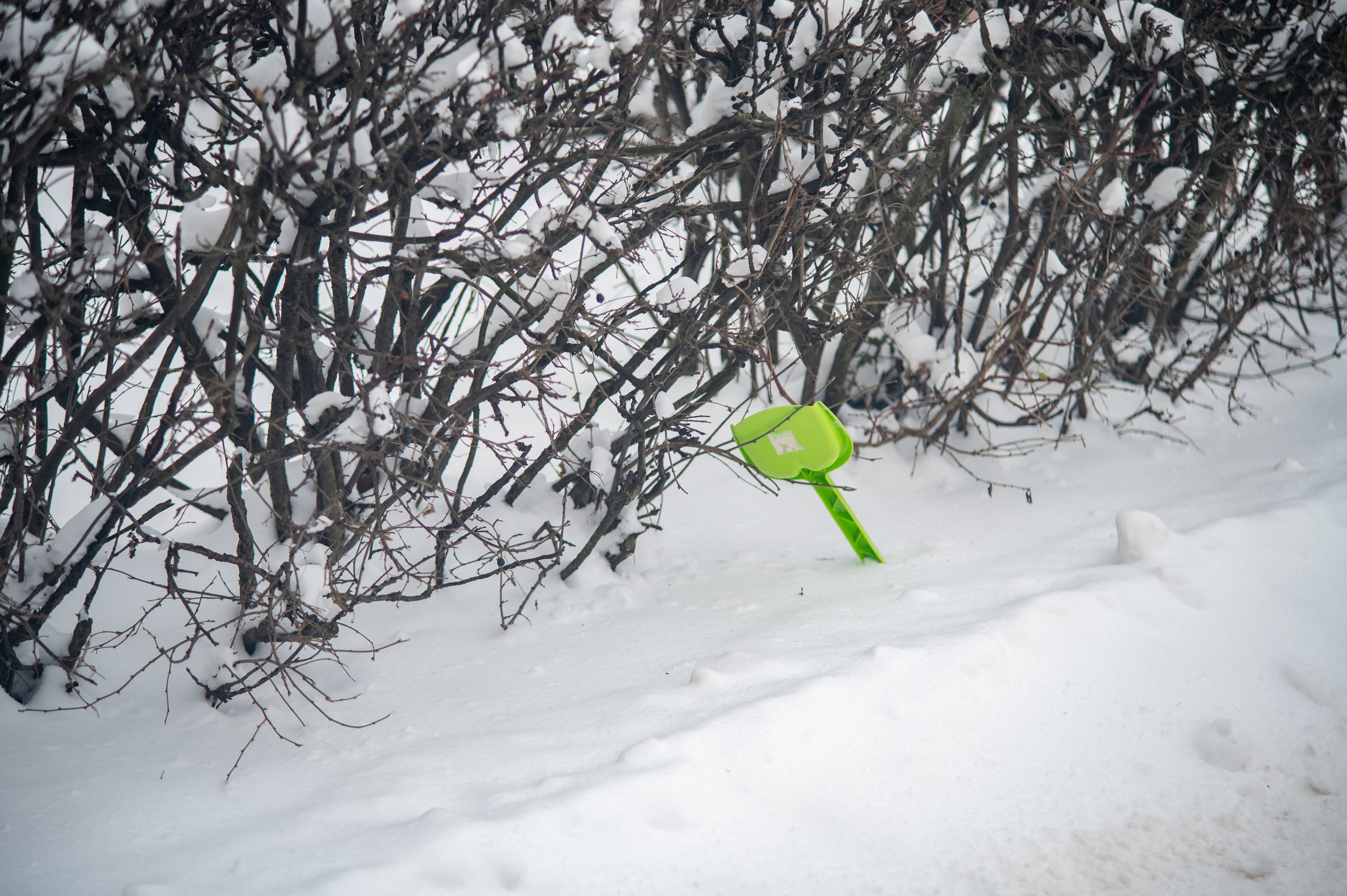 20231126 Смотровая. Дмитрий Ремизов. Фотография, как хобби