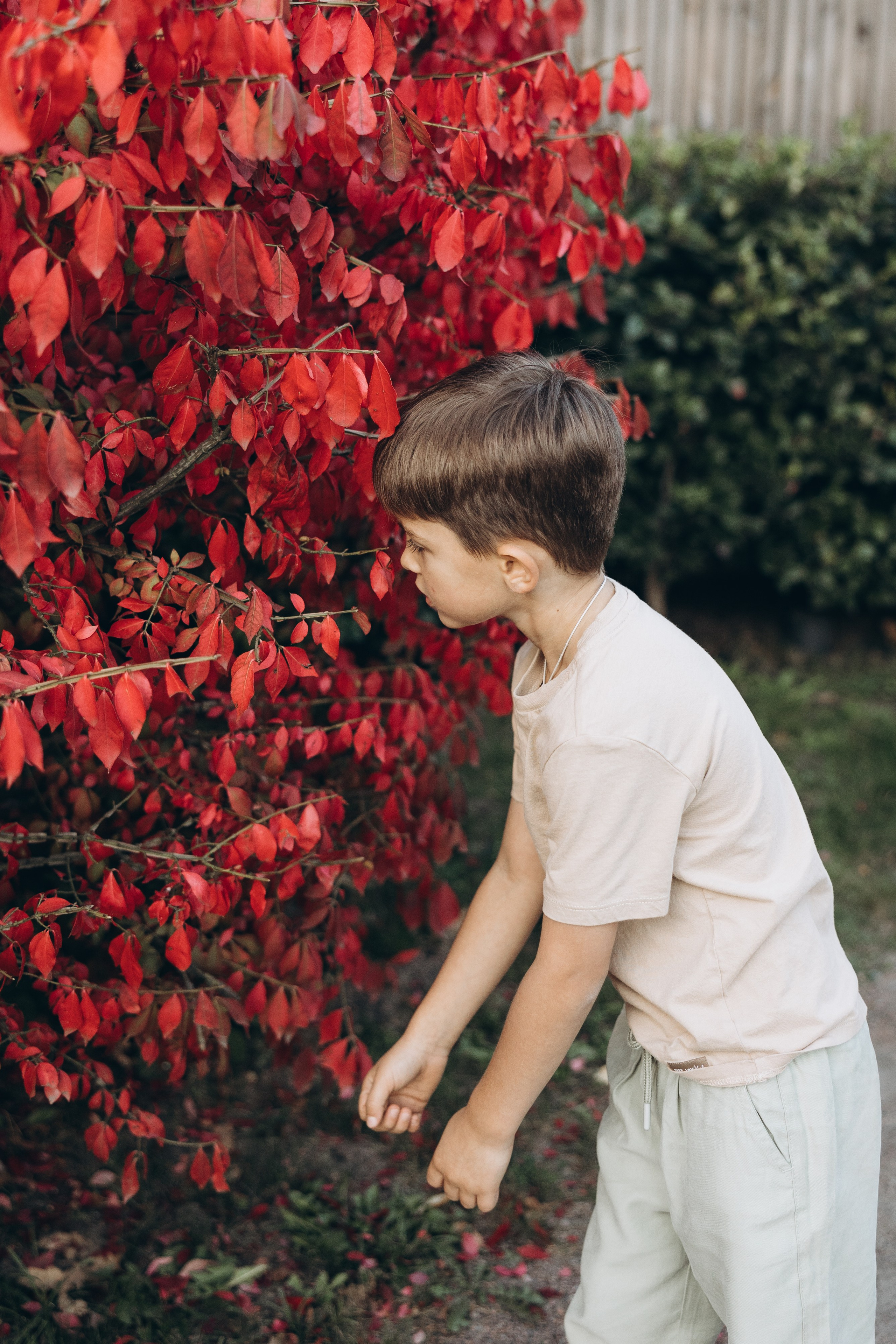 Екатерина, Ярослав, Артём, Макар и Демид. Семейный фотограф в Москве Виктория Ястребинская