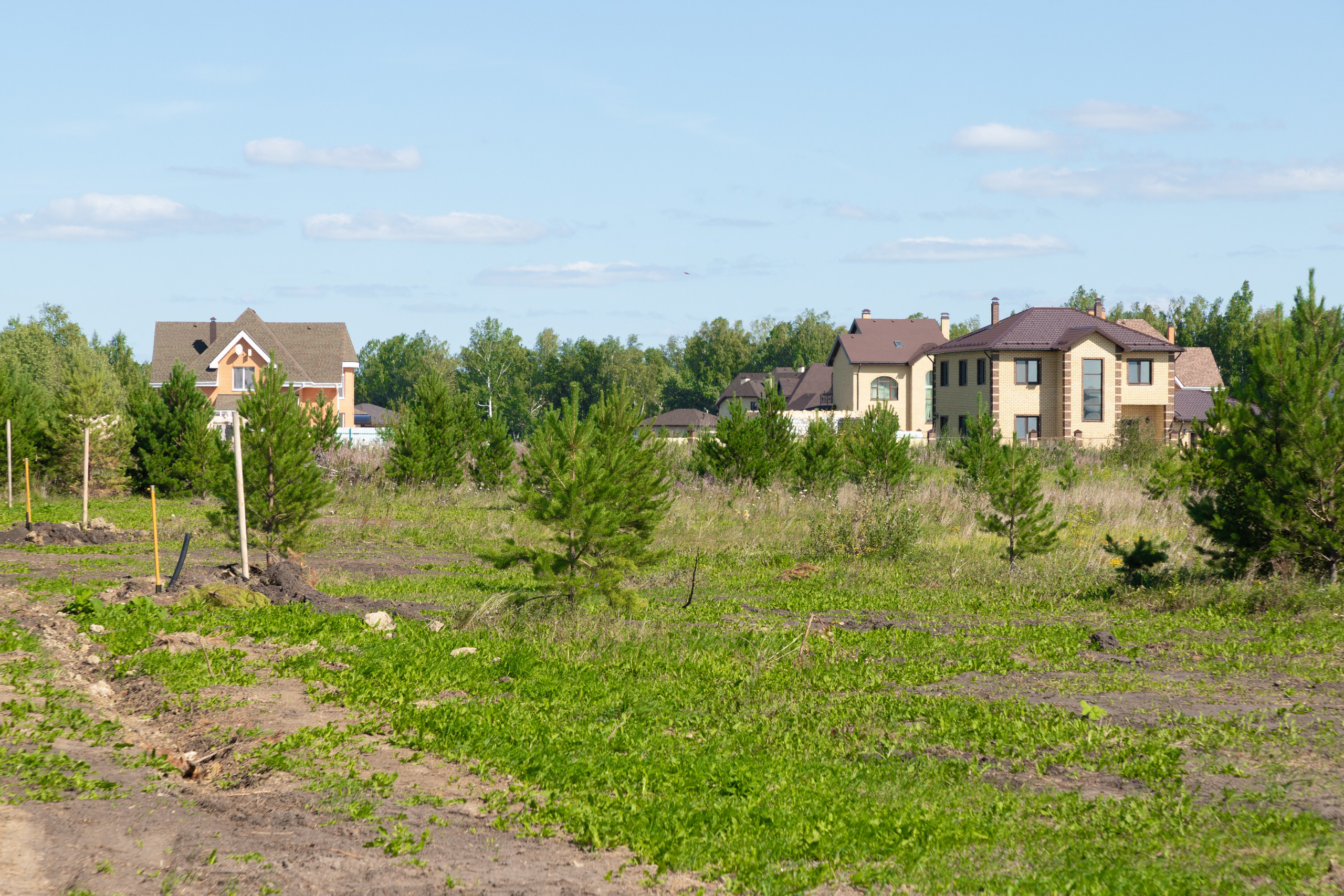 Зубарево Хиллс. Фотограф Денис Лесковский (Тюмень)